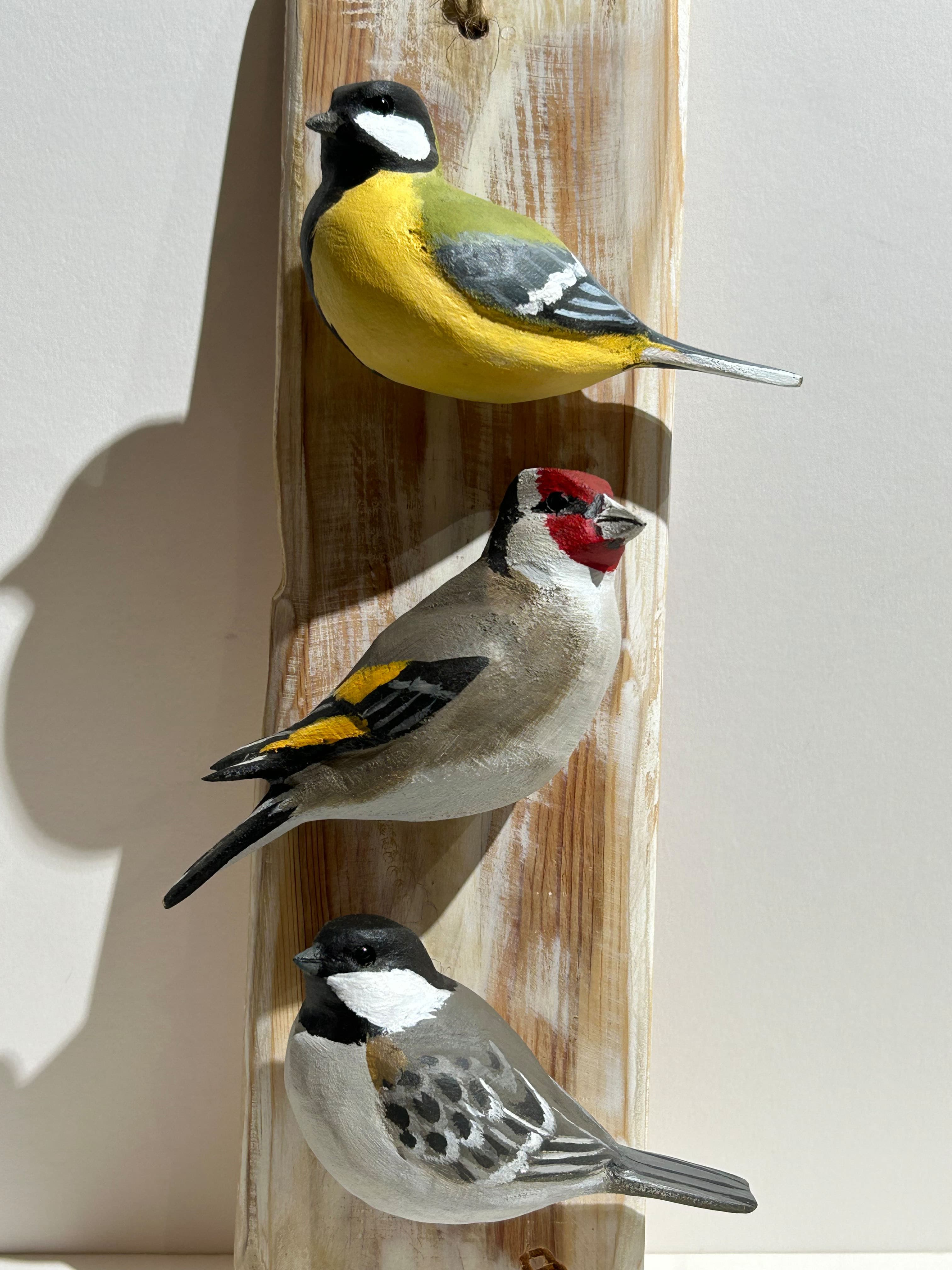 PLANCHE DE PASSEREAUX (mésanges, chardonneret)