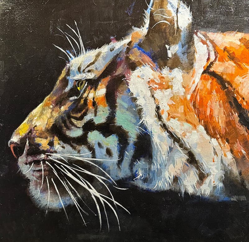 TIGRE DANS LE NOIR