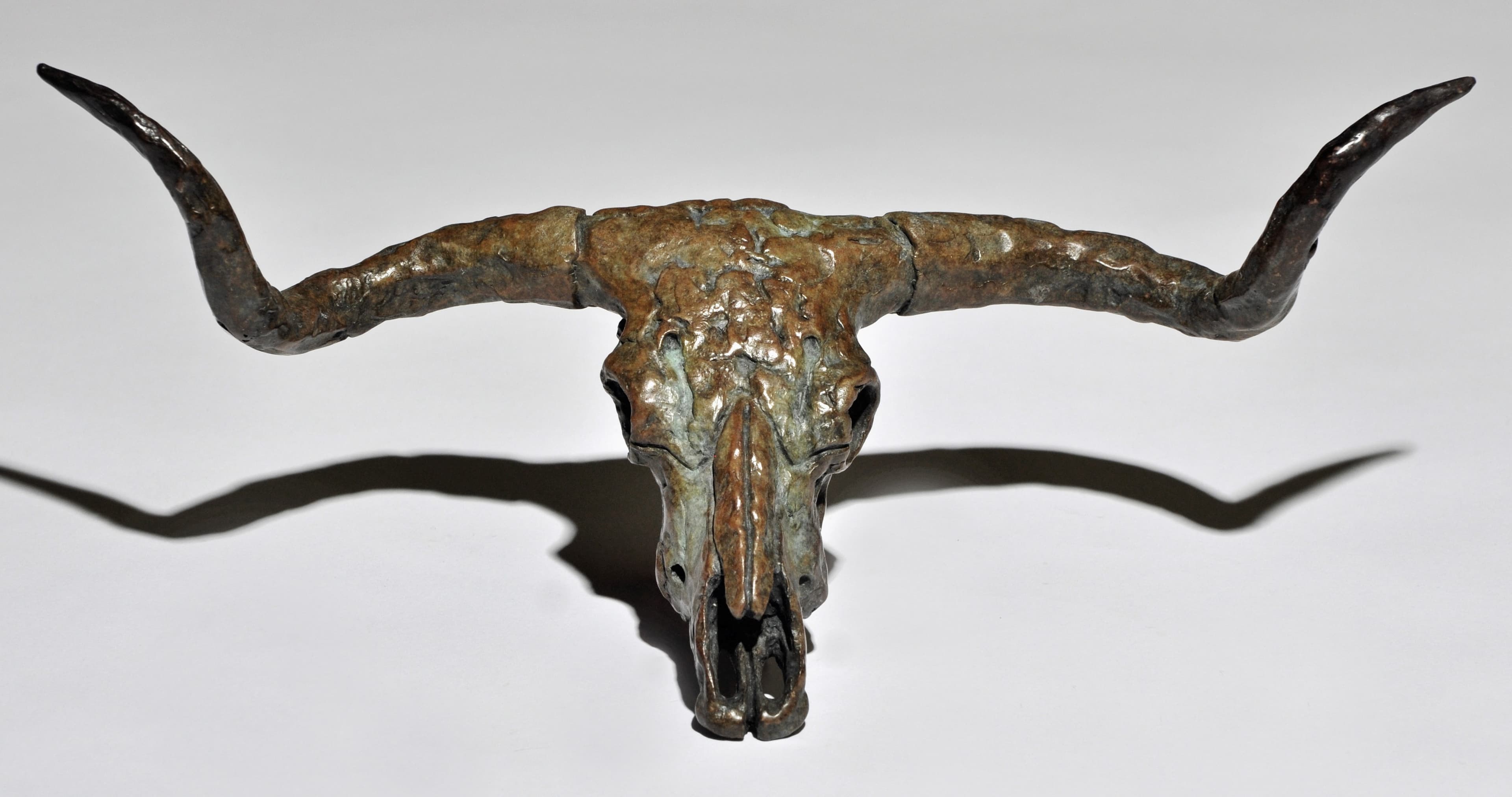 LONGHORN SKULL ( crâne de cheval)