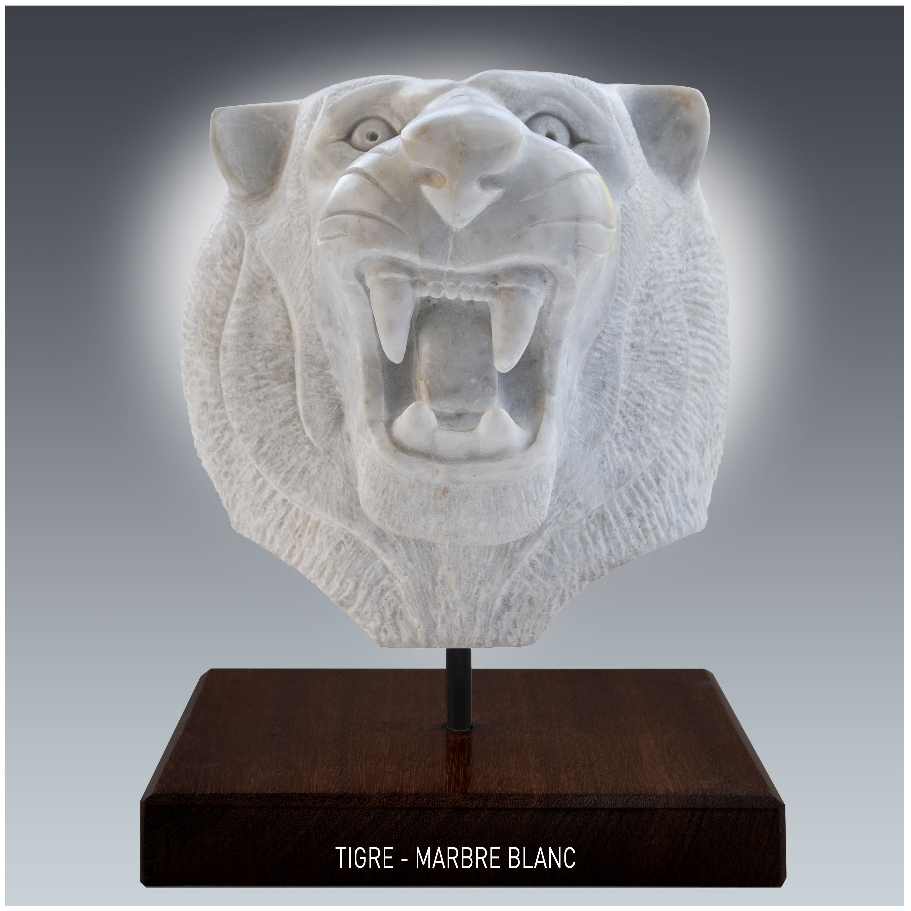 TETE DE TIGRE