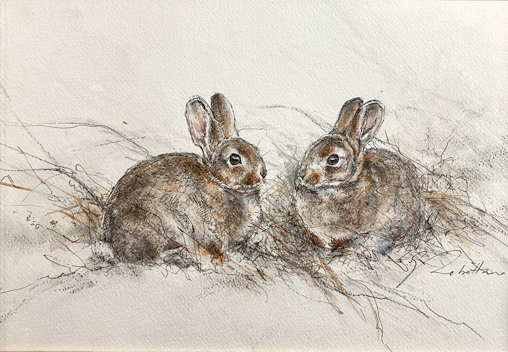 DEUX JEANNOTS (Lapins de garenne)