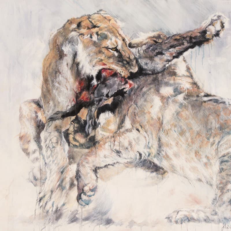 BAGARRE DE LIONNES