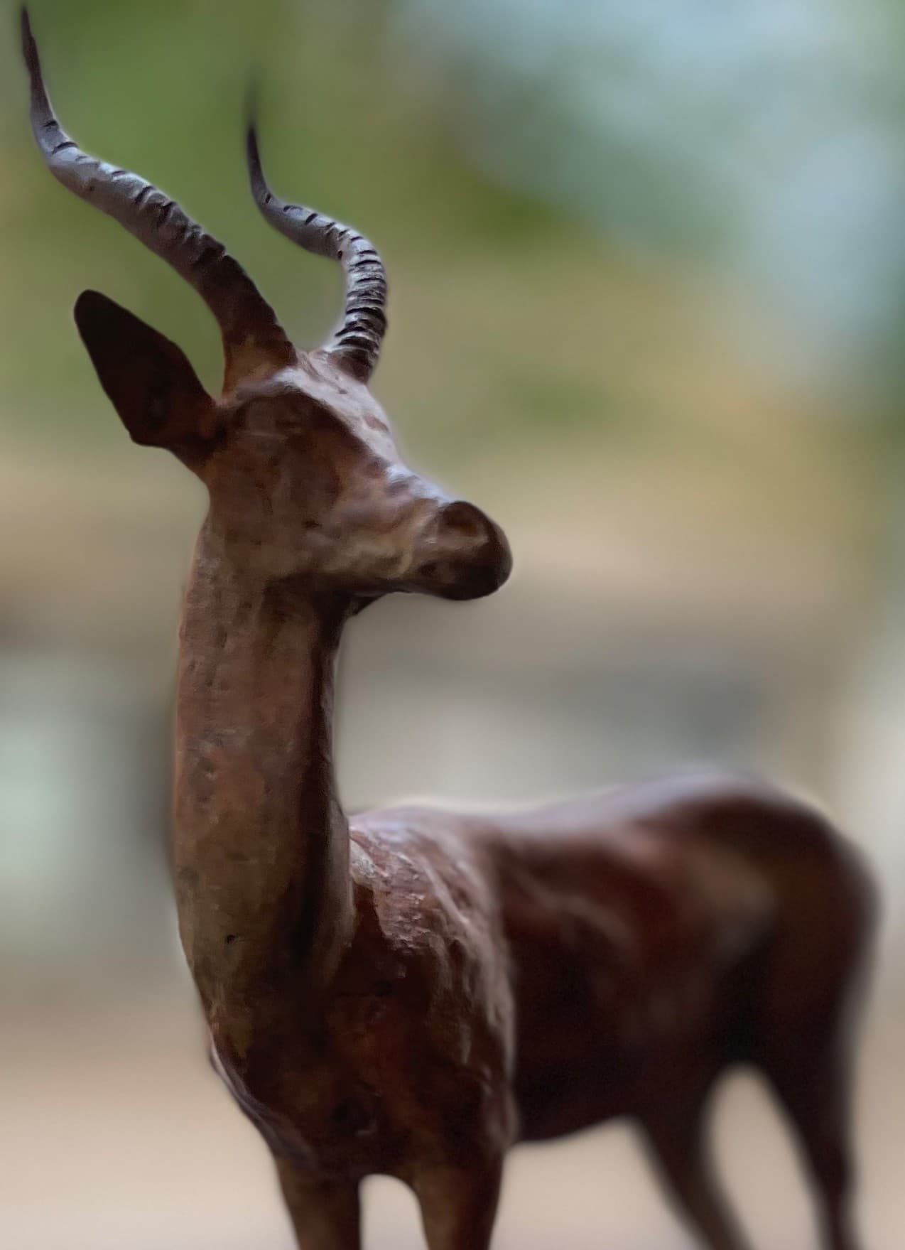 COB DE BUFFON (gazelle)