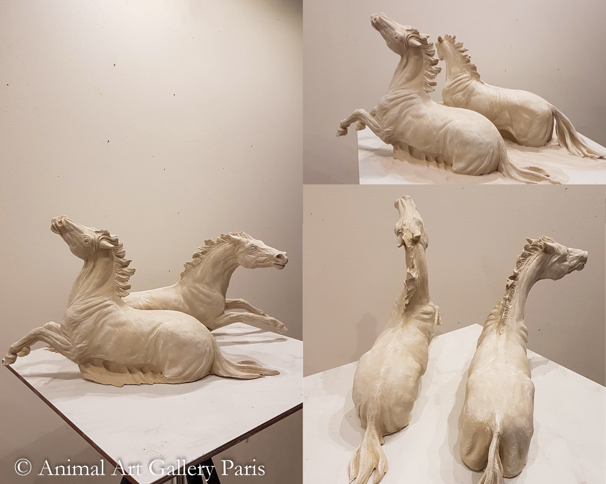 TERRE SAUVAGE (chevaux) — Axelle Safran