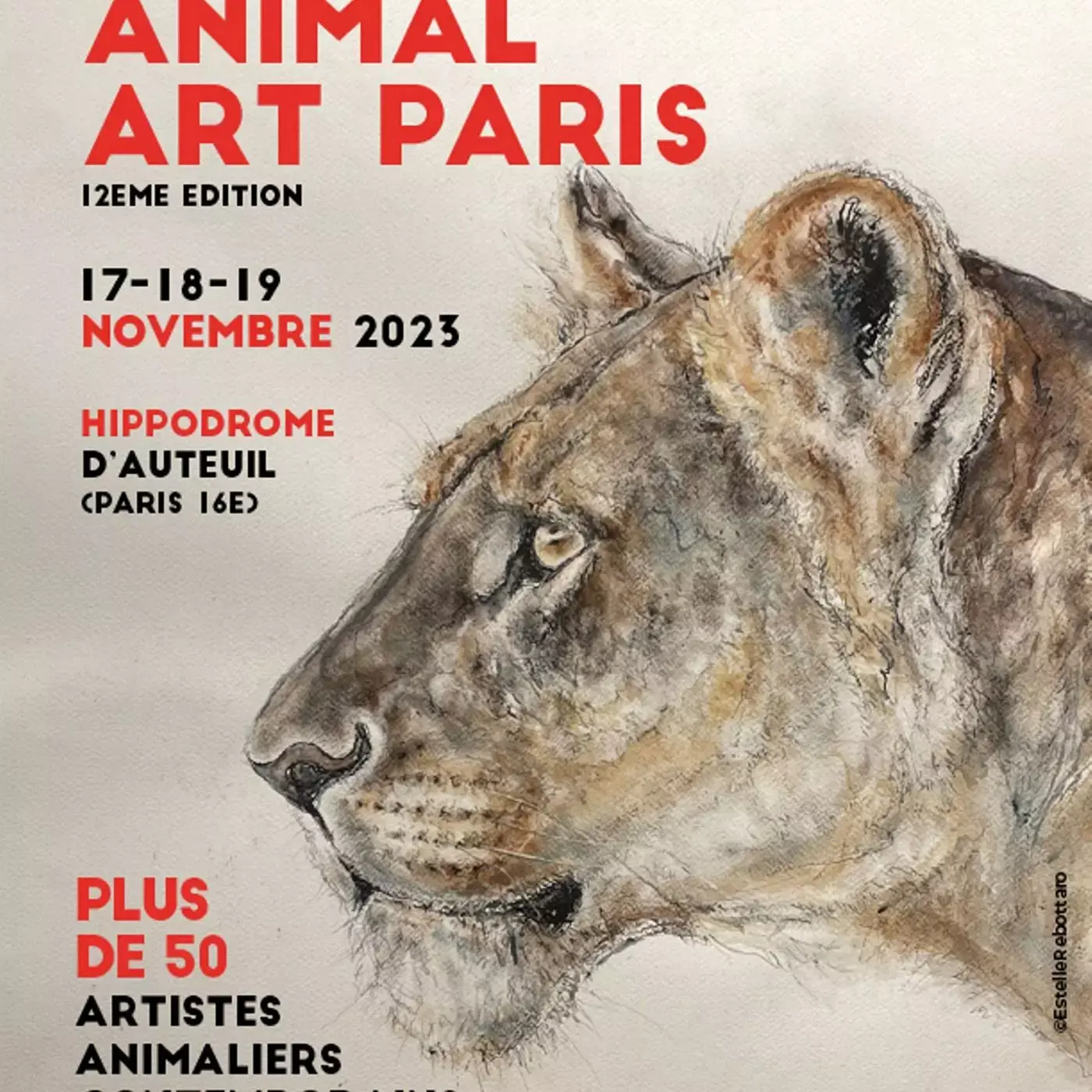 Animal Paris