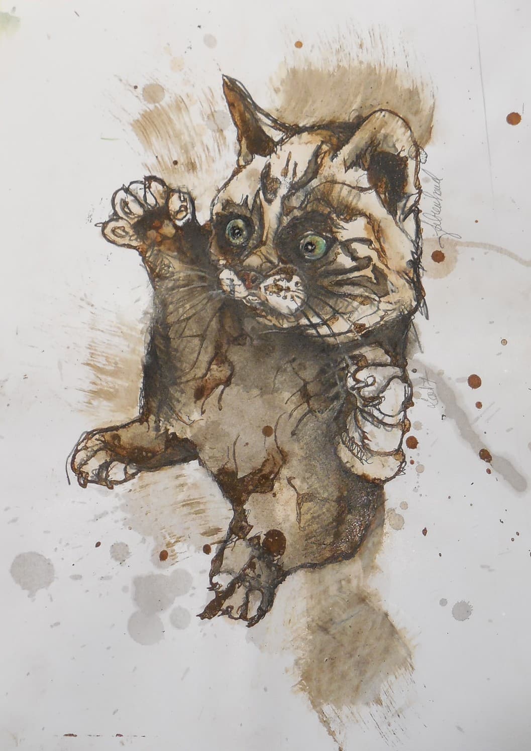 CHAT No1