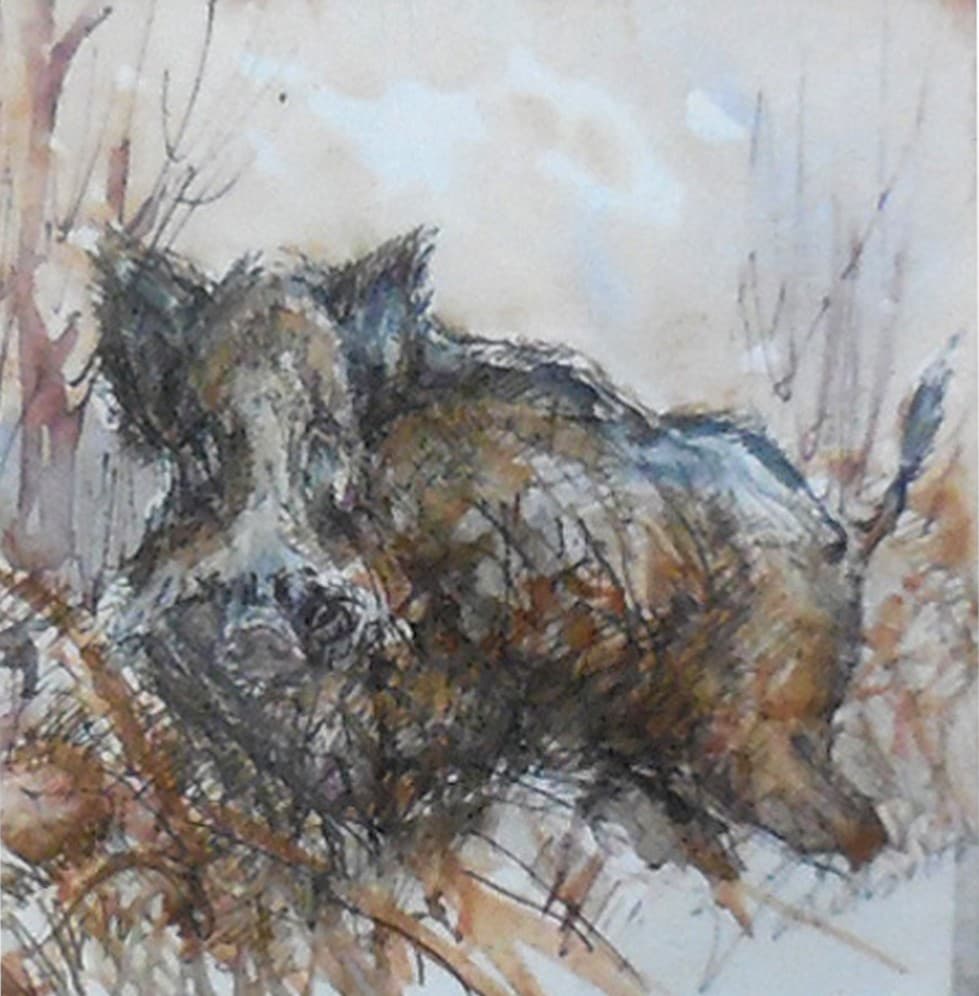 SANGLIER