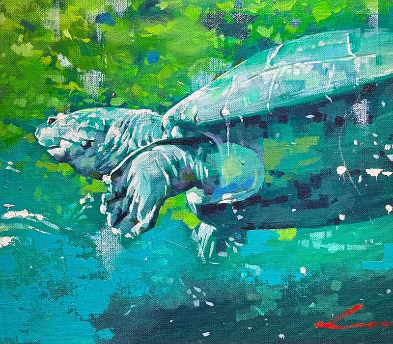 TORTUE DANS L'EAU