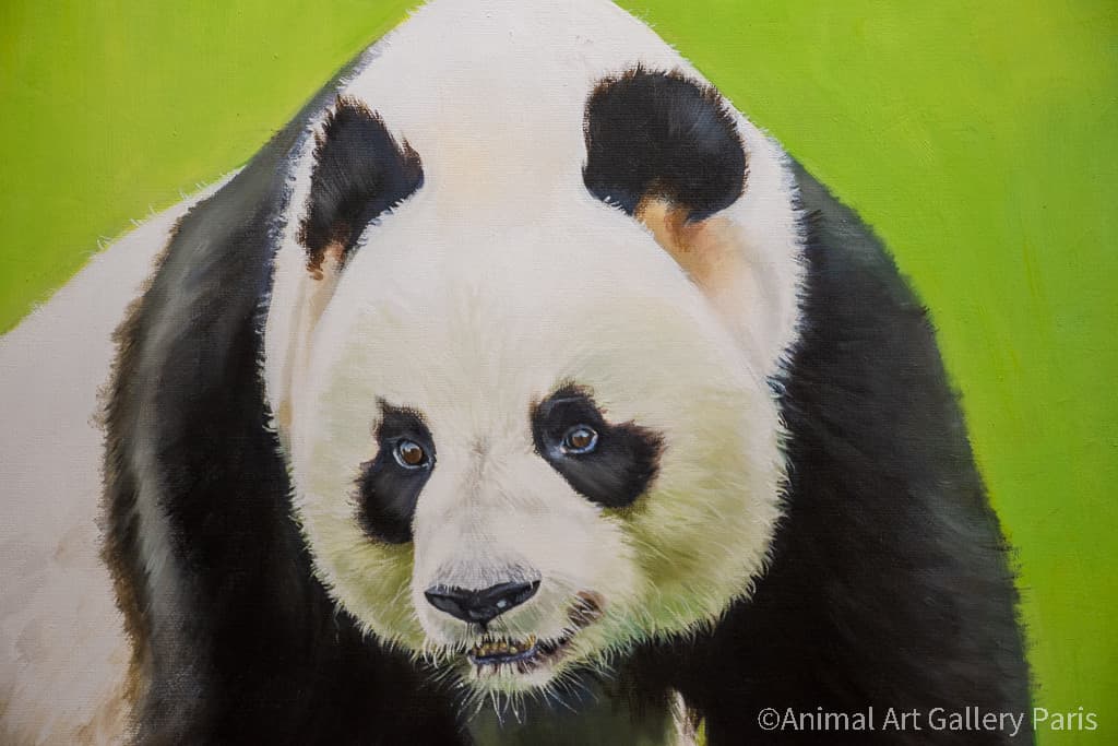 PANDA