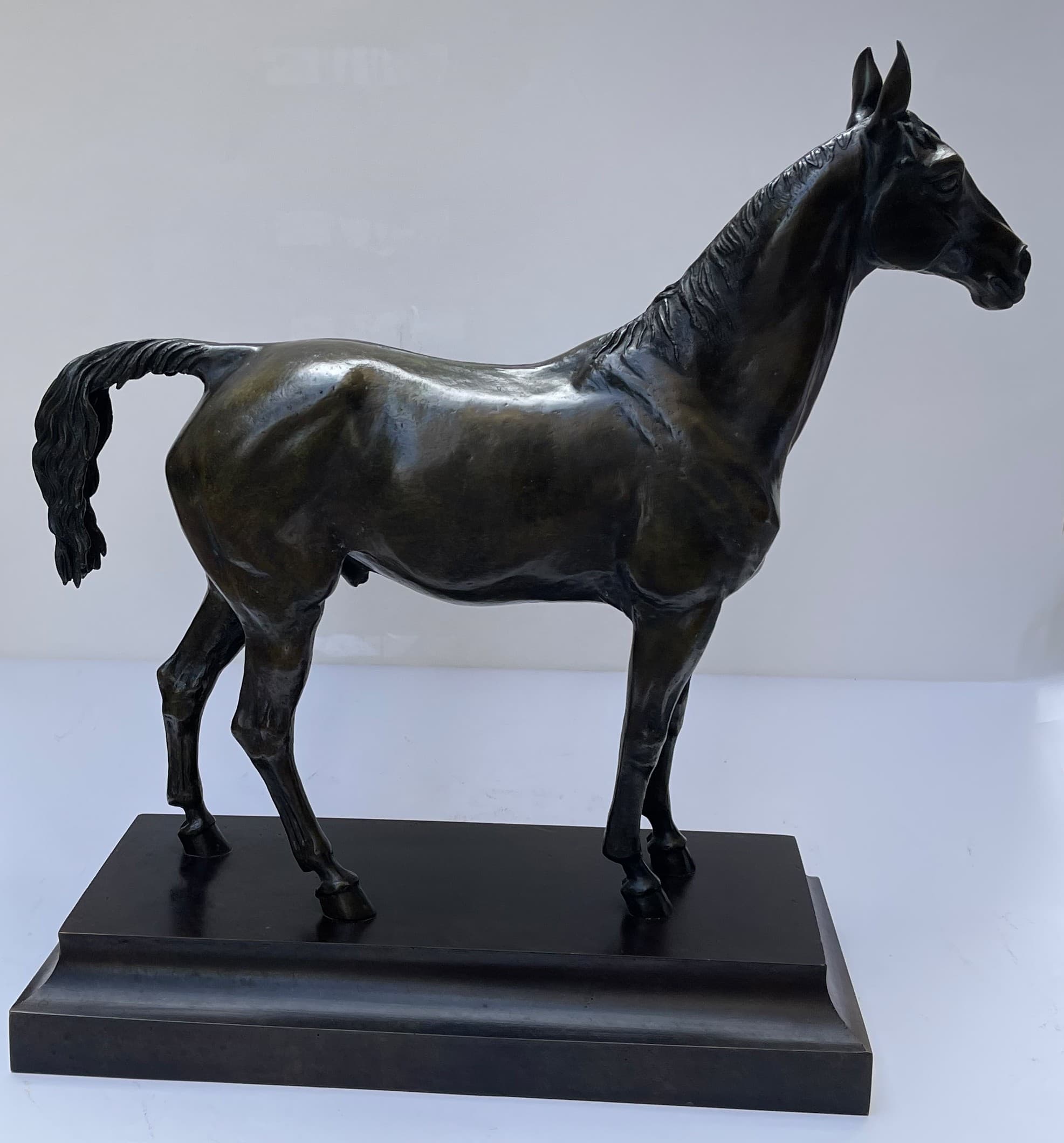 CHEVAL