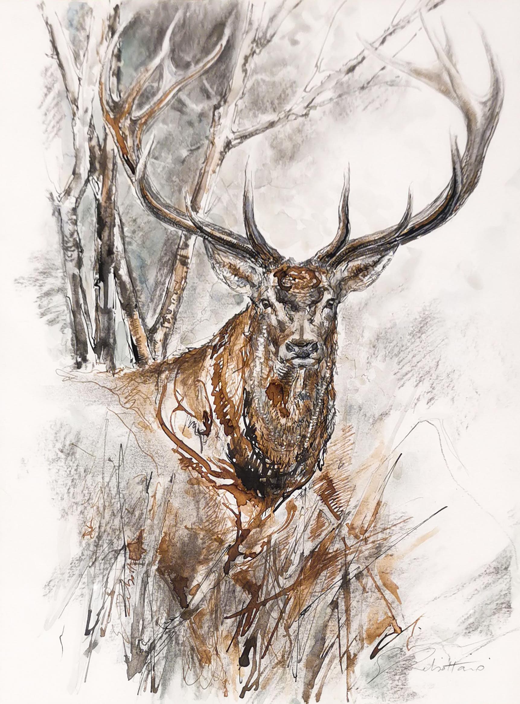 CERF