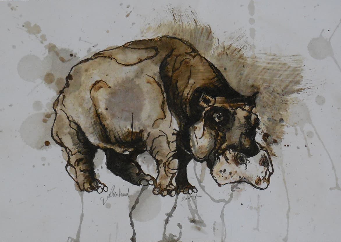 HIPPOPOTAME