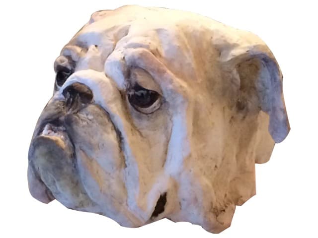 BULLDOG ANGLAIS (chien)