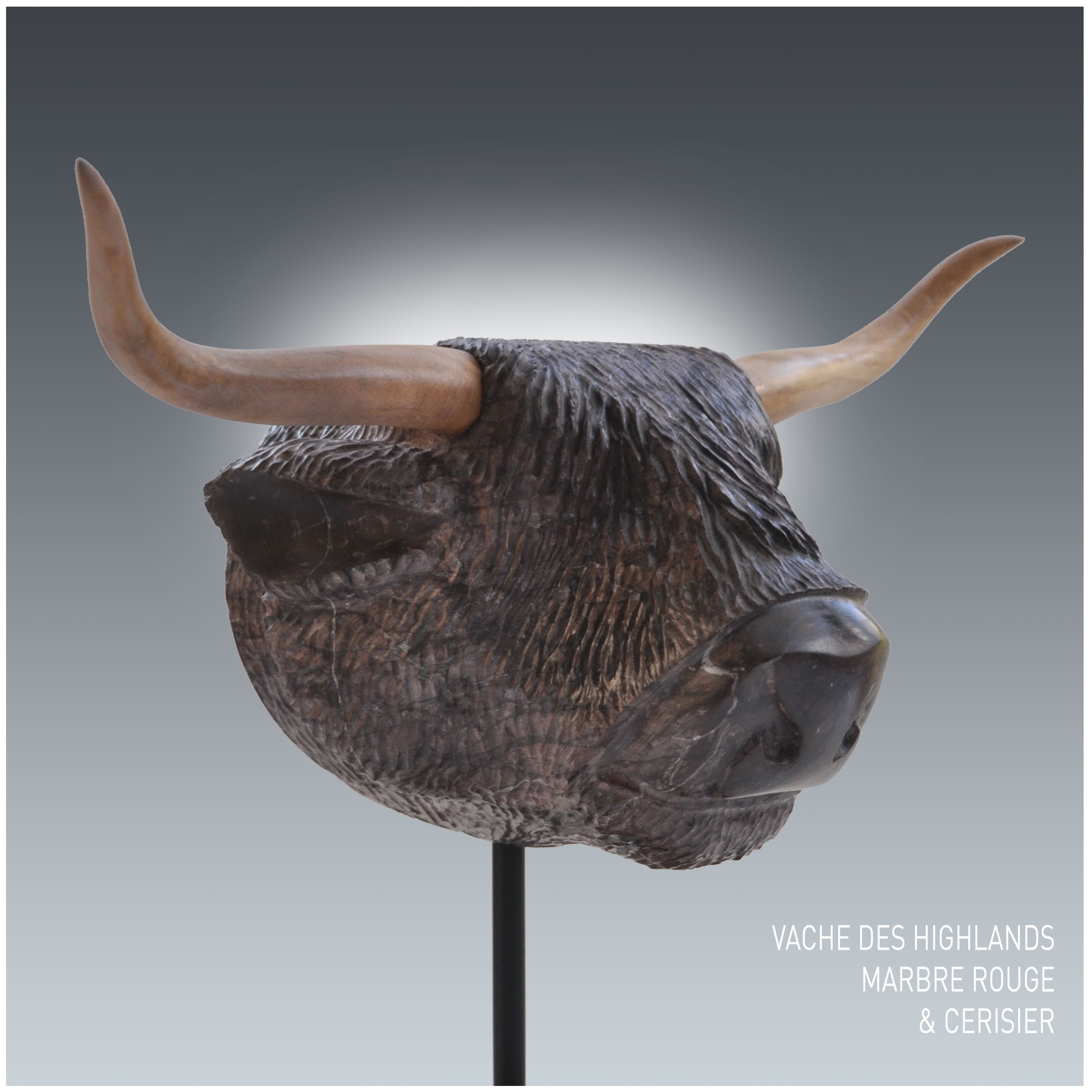 VACHE DE L'ILE DE SKYE