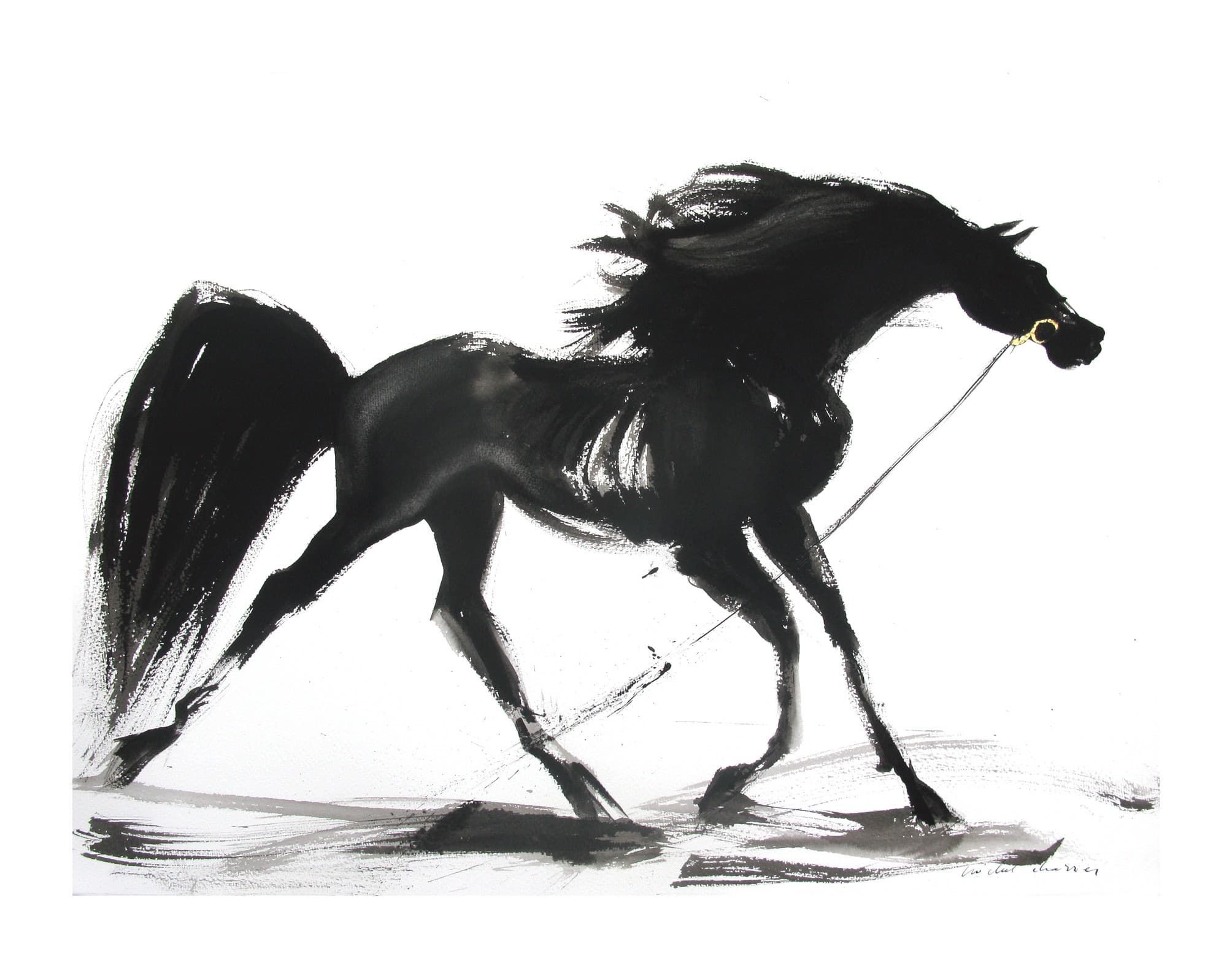 Cheval a la longe