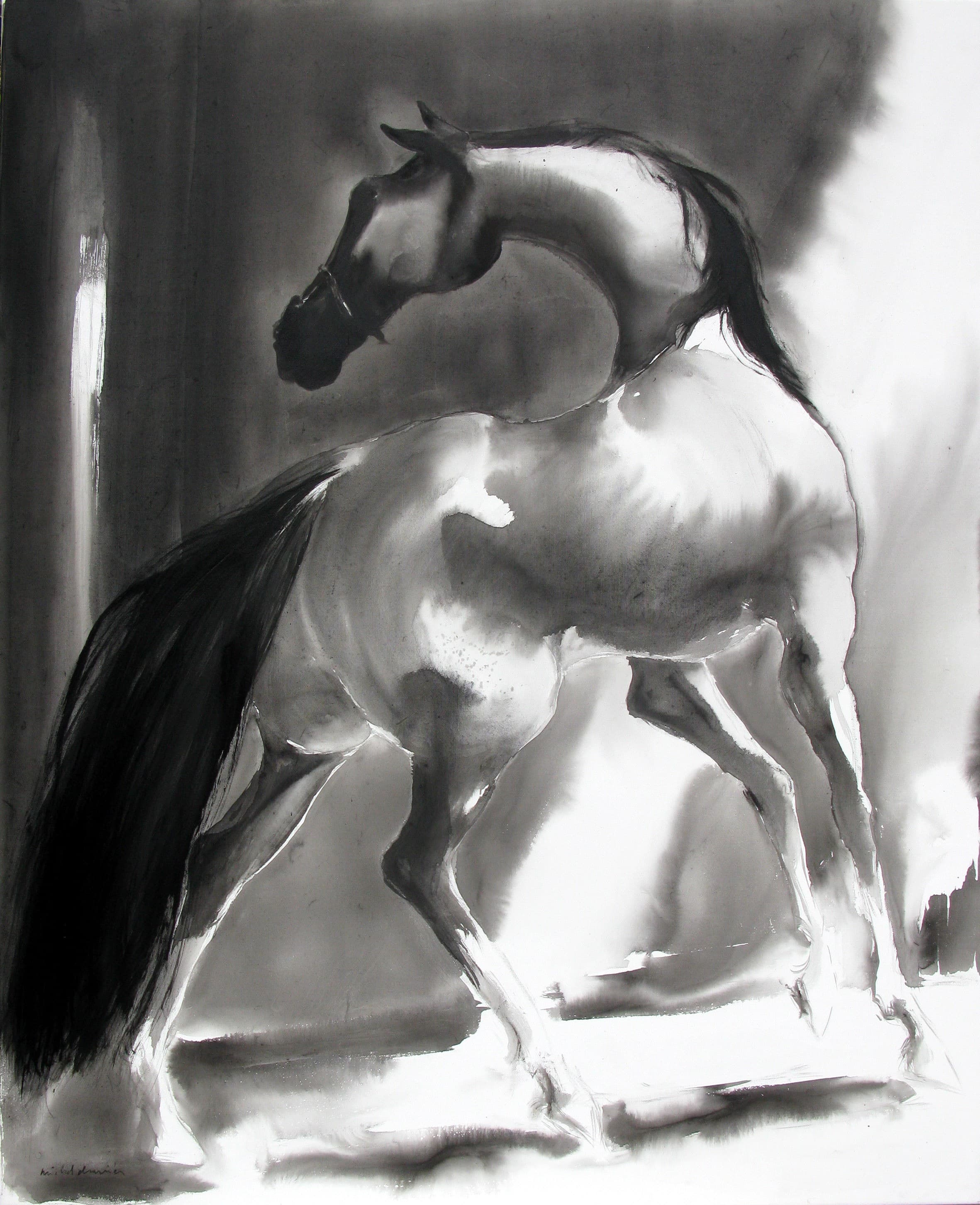 GOLDEN SANDS cheval dans l'ombre et la lumière