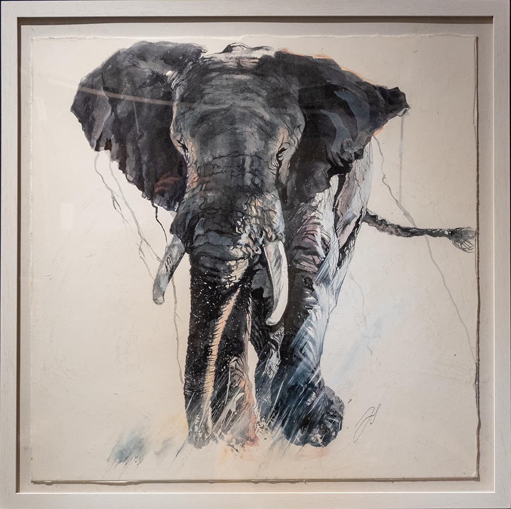 ELEPHANT ETONNE