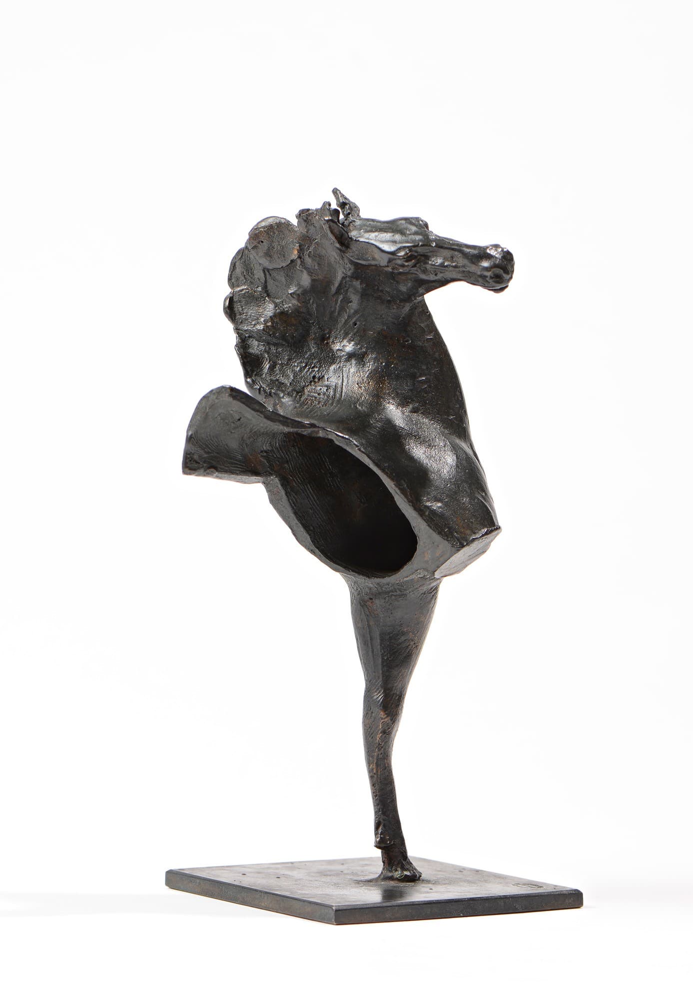 TETE DE CHEVAL