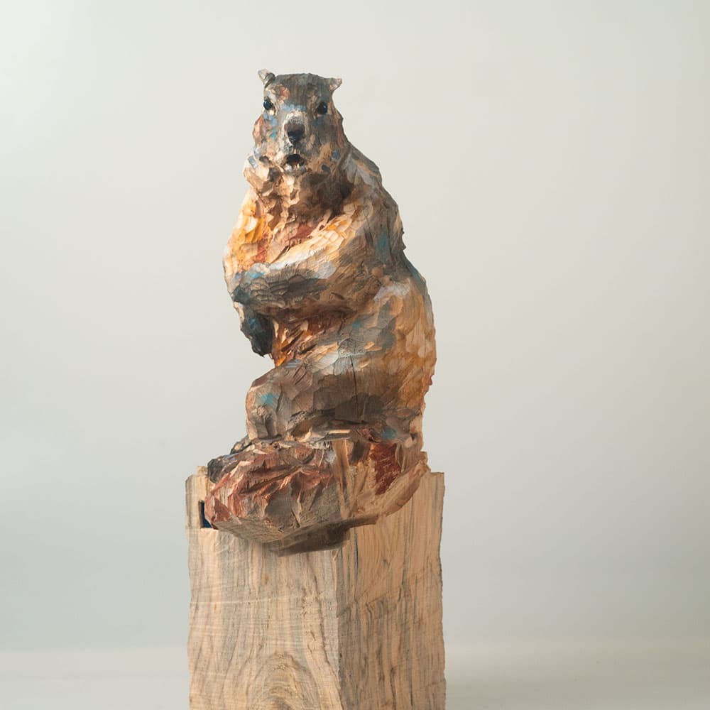 MARMOTTE