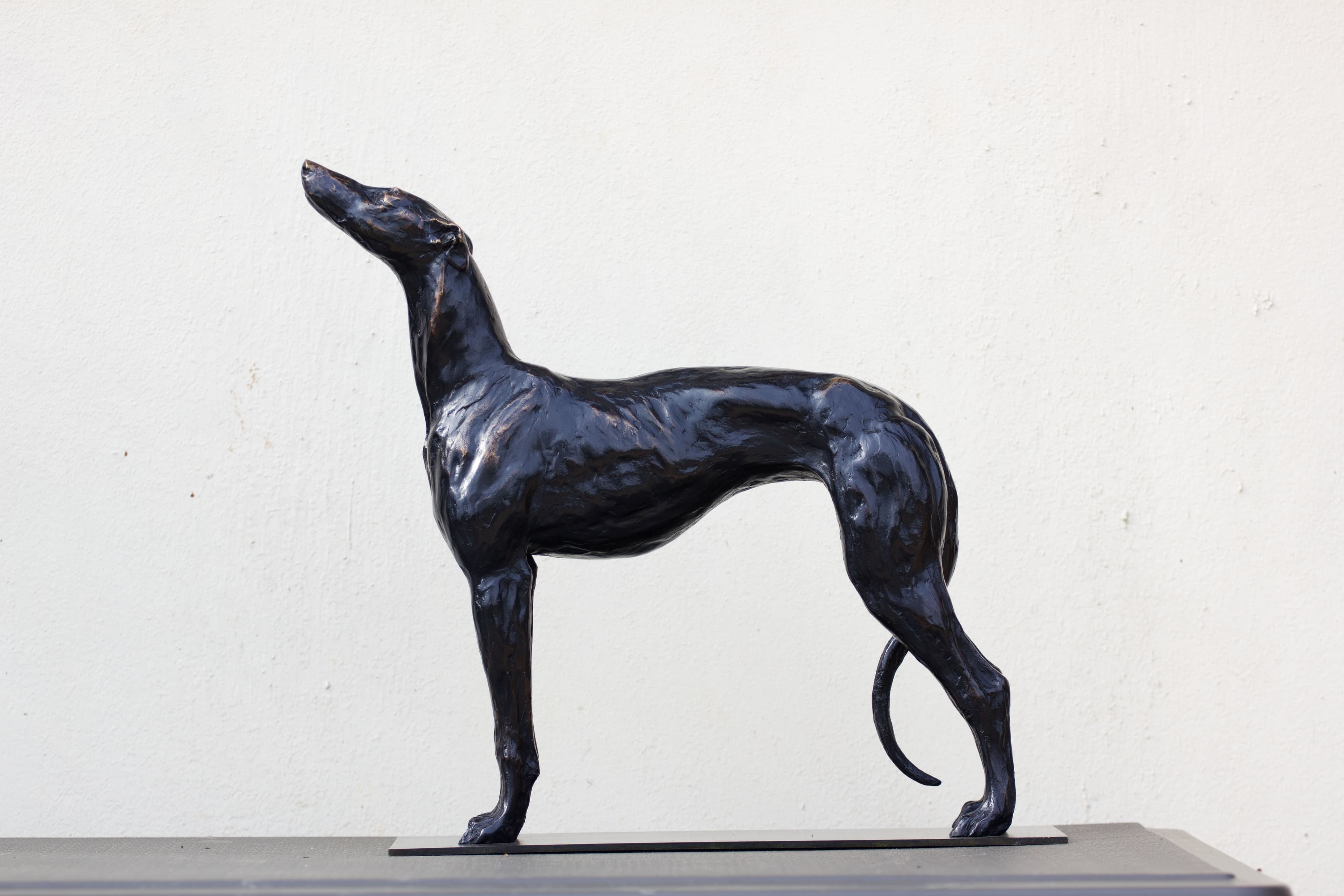 GREYHOUND 1