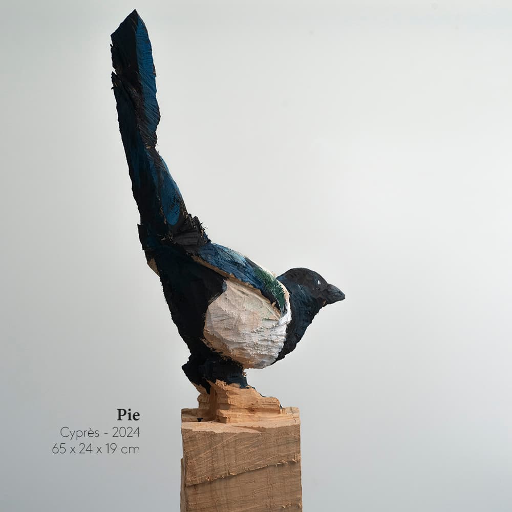 Guillaume Belin Pie4