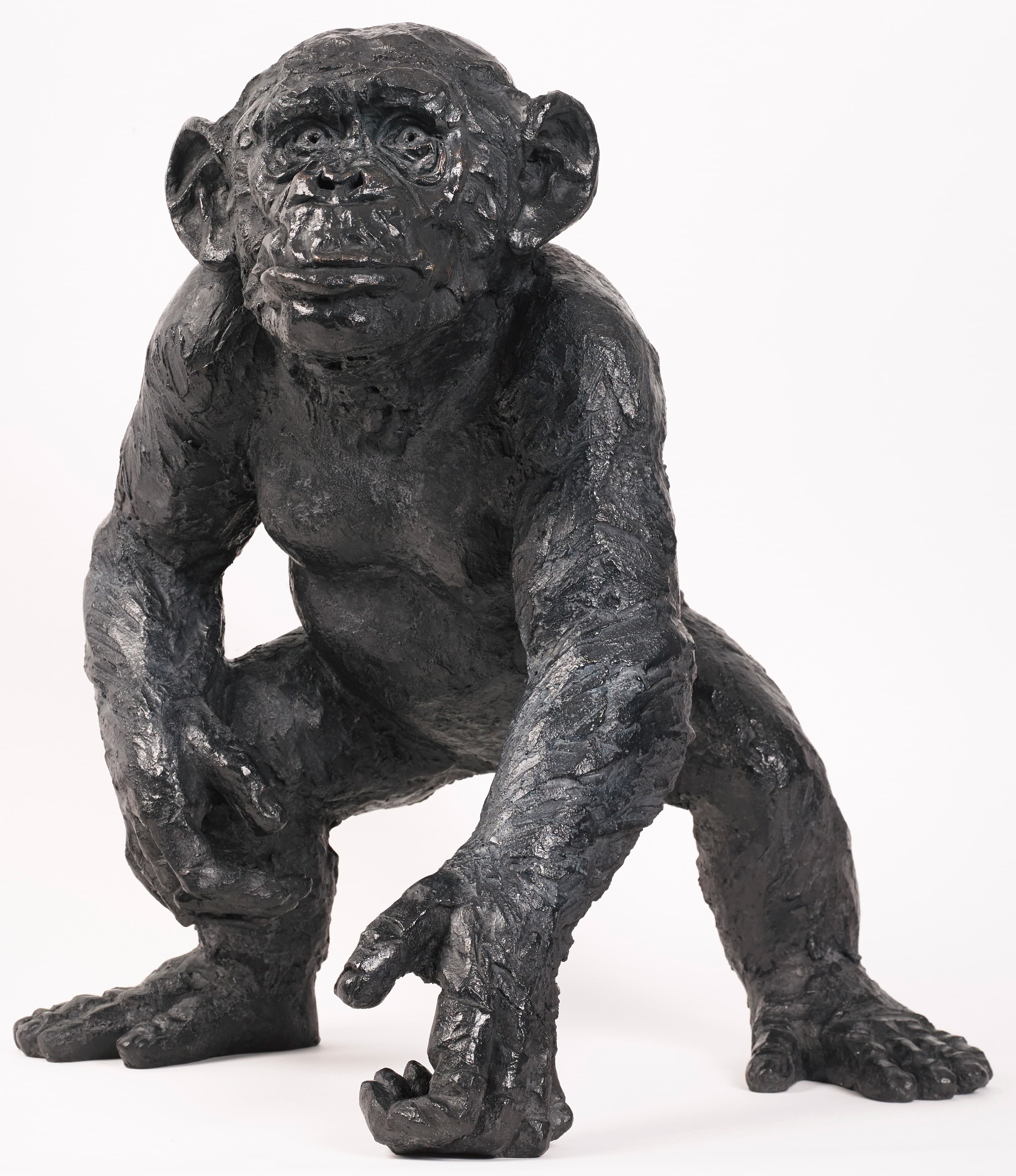 Coco le Singe