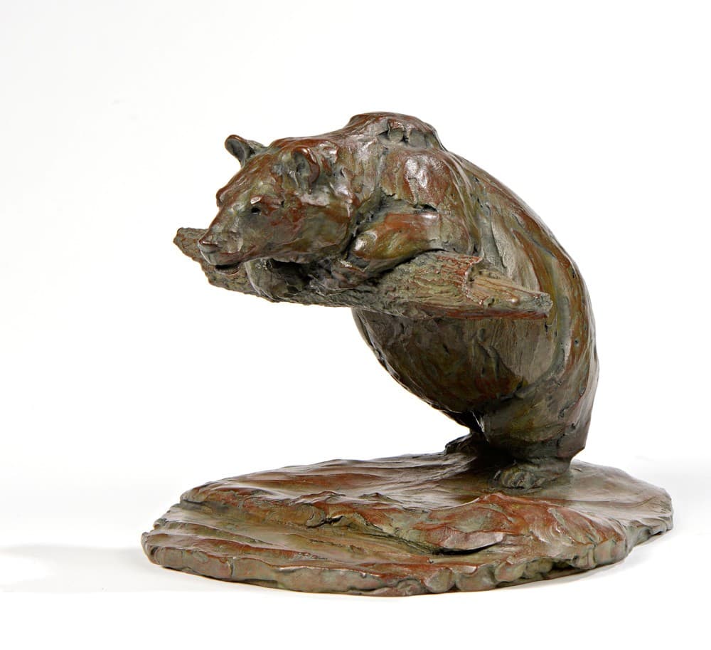 L'OURS PHILOSOPHE (ours)