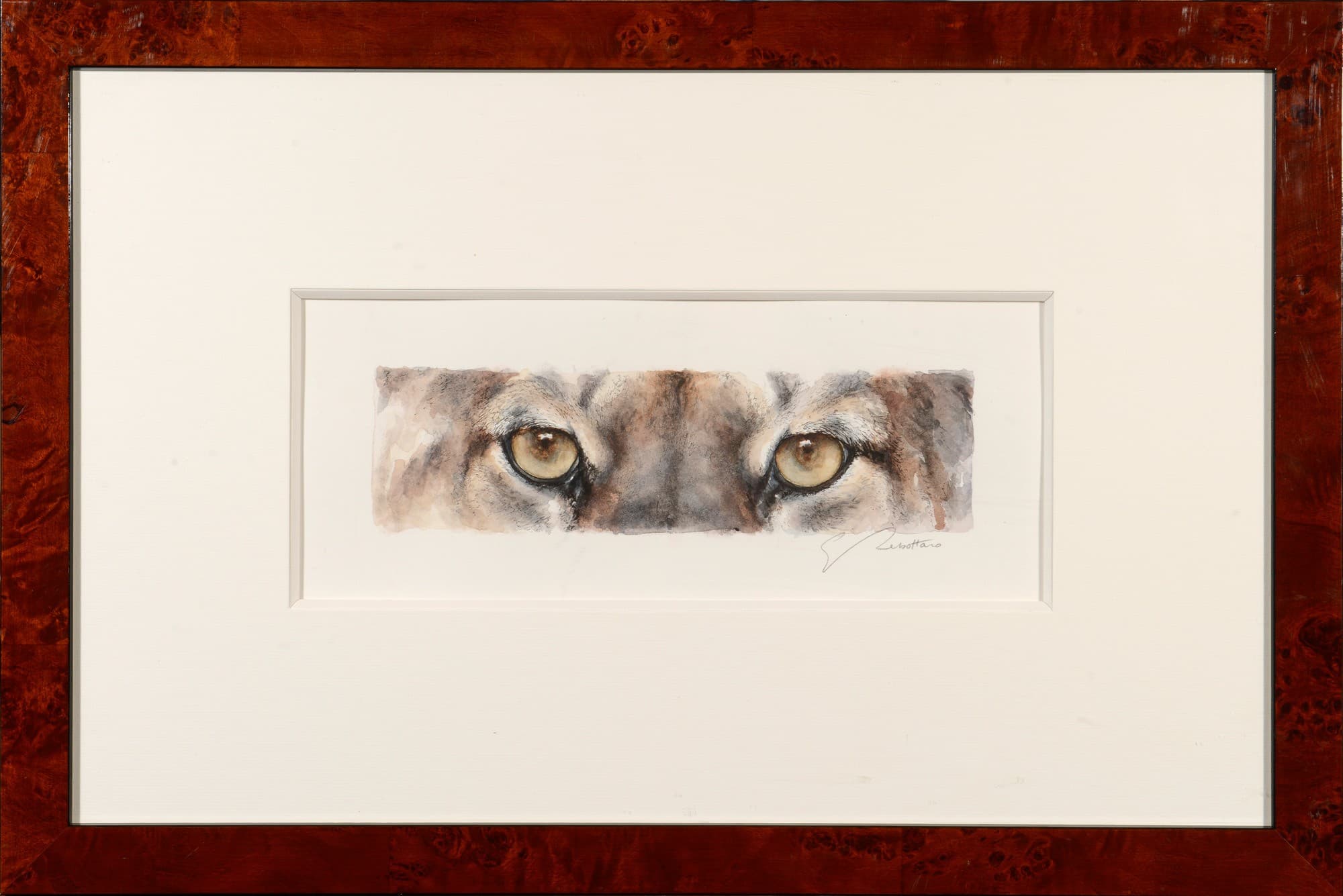 REGARD DE PUMA