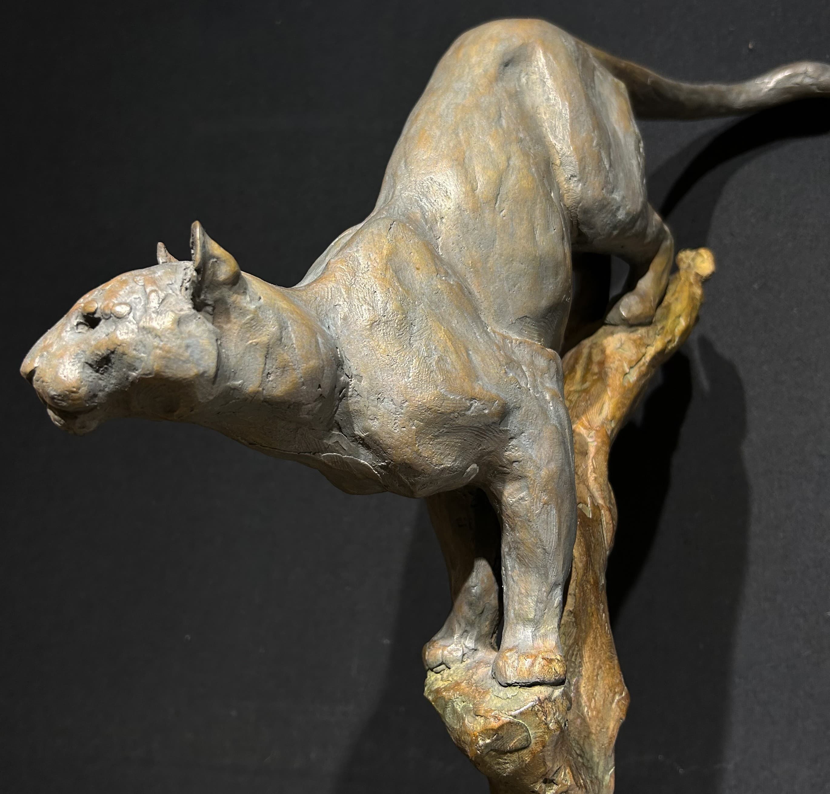 SAUTE MOUTON (Puma)