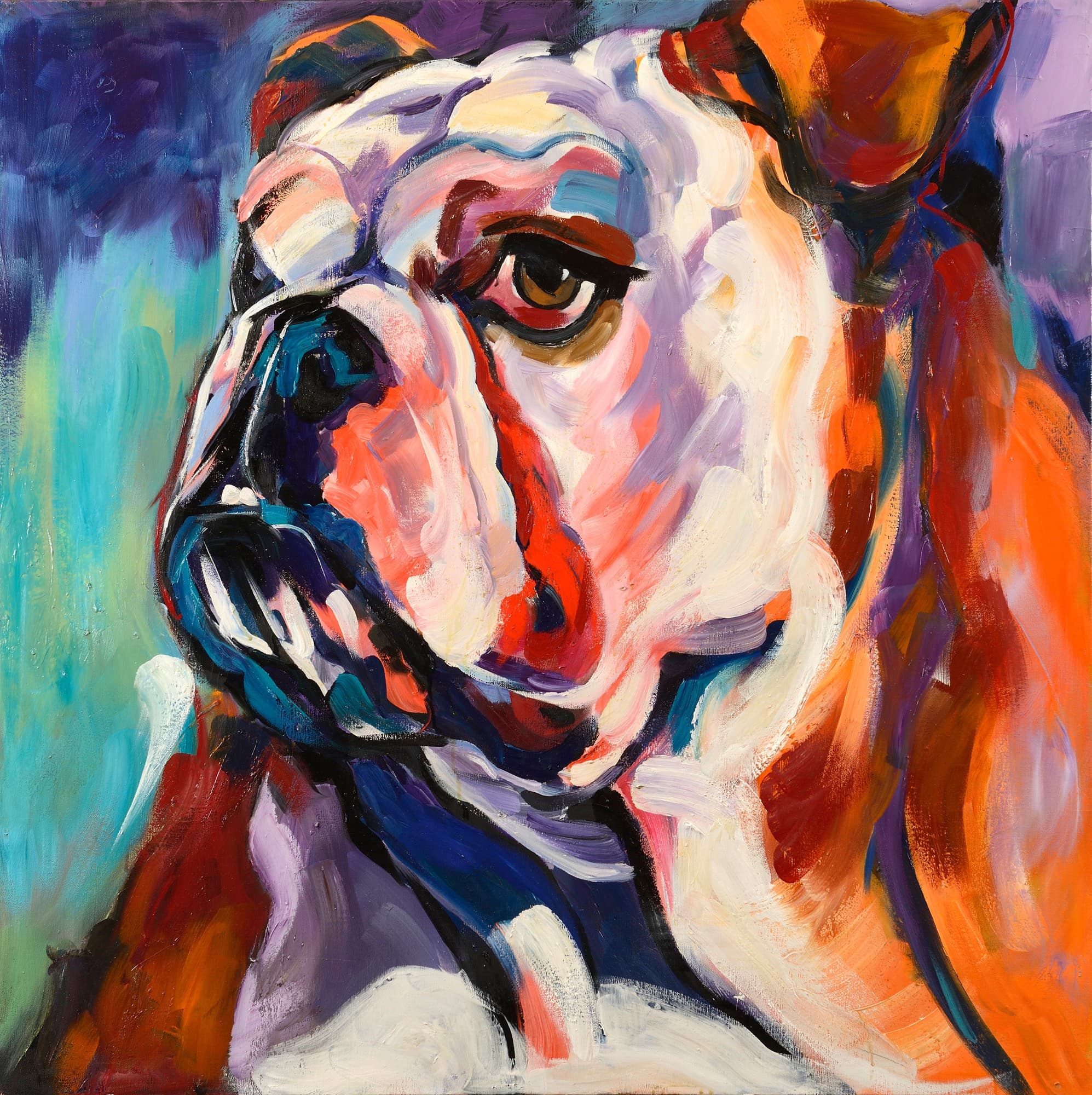 BOULEDOGUE ANGLAIS