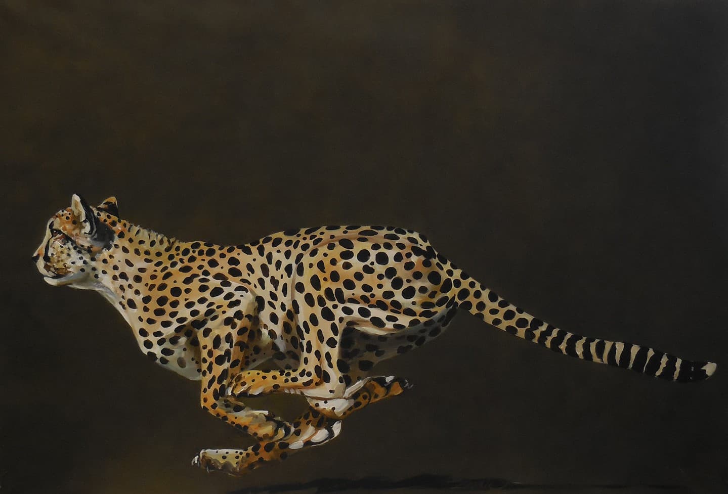 Le Guépard