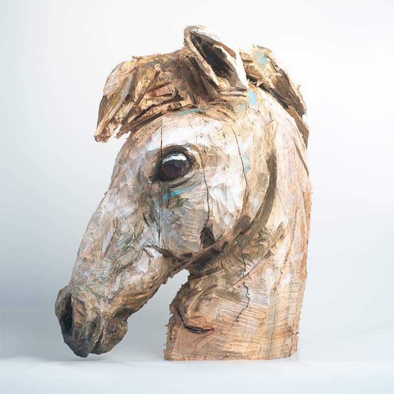 Tête De Cheval Par Guillaume Belin 3