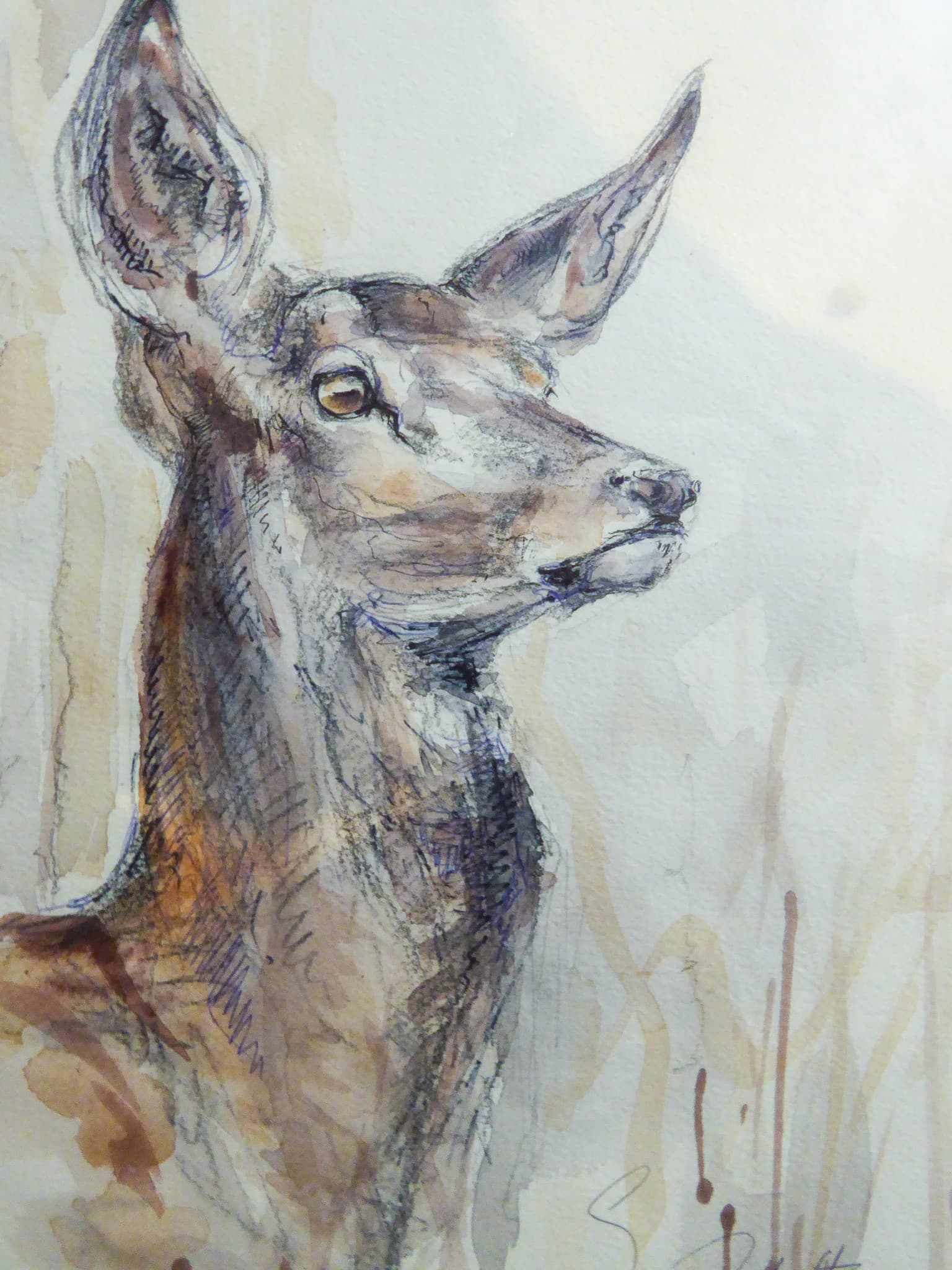 BICHE