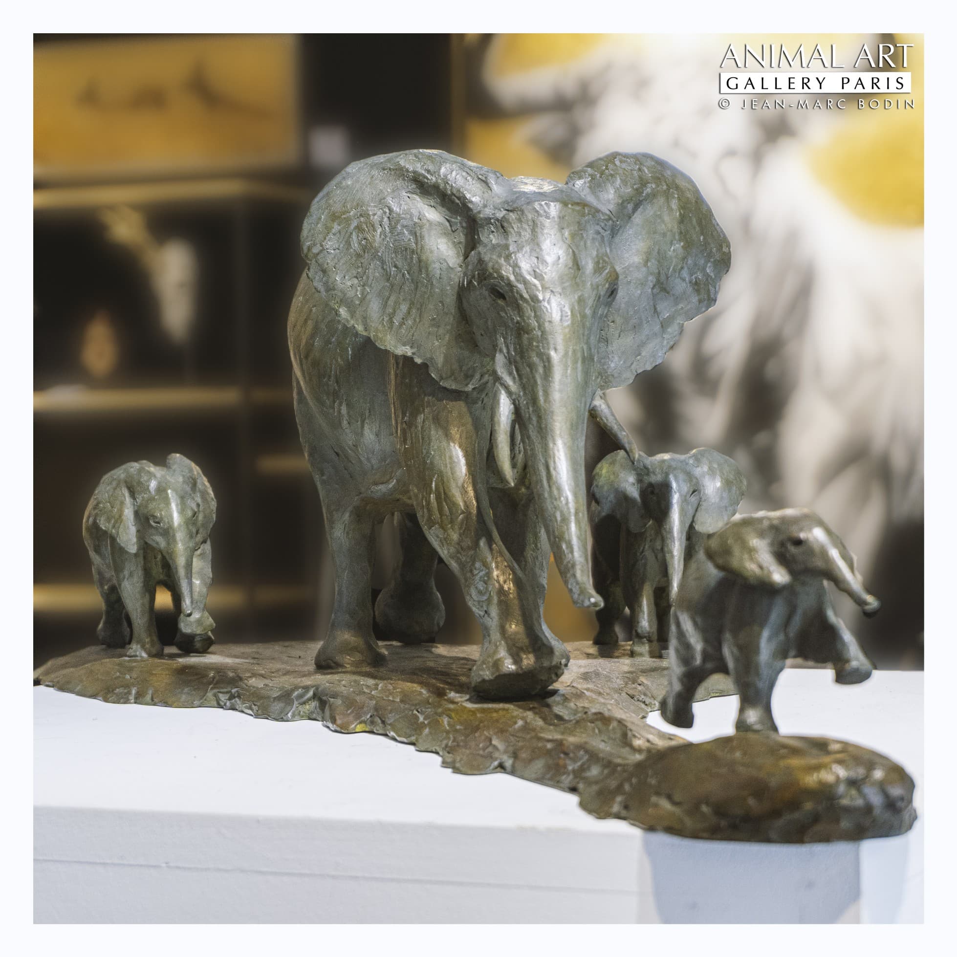 AVENTI (éléphants)