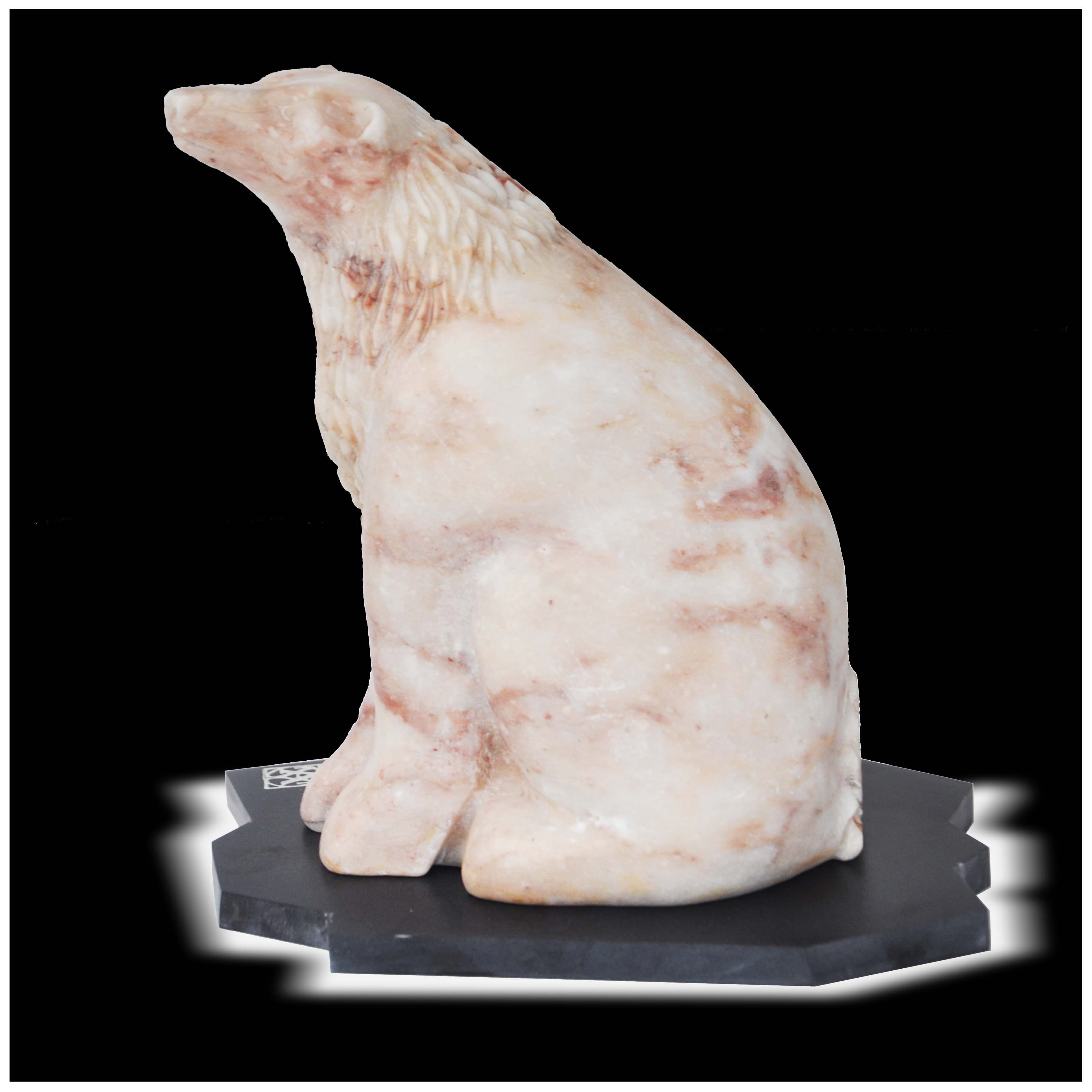 OURS ASSIS
