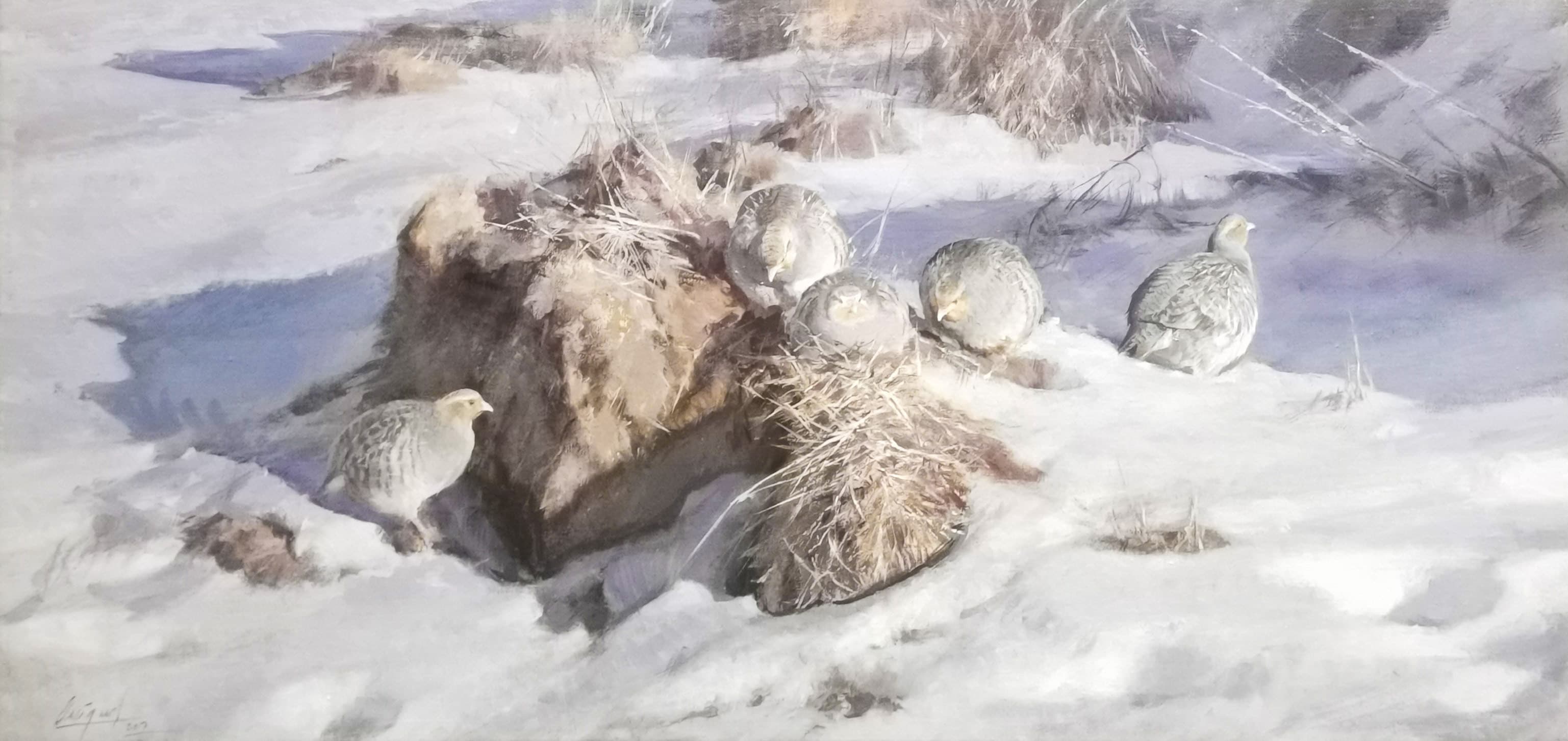 PERDRIX DANS LA NEIGE