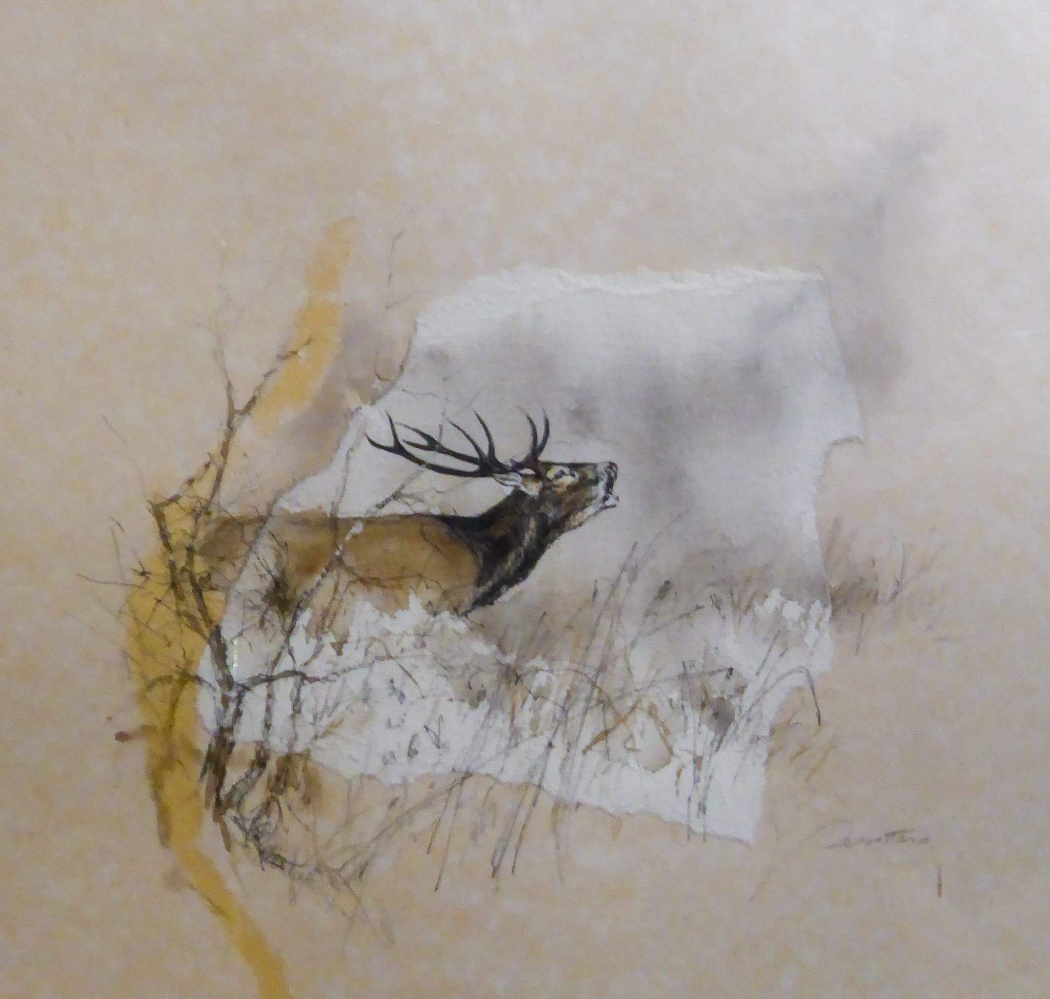CERF AU BRAME (COLLAGE)