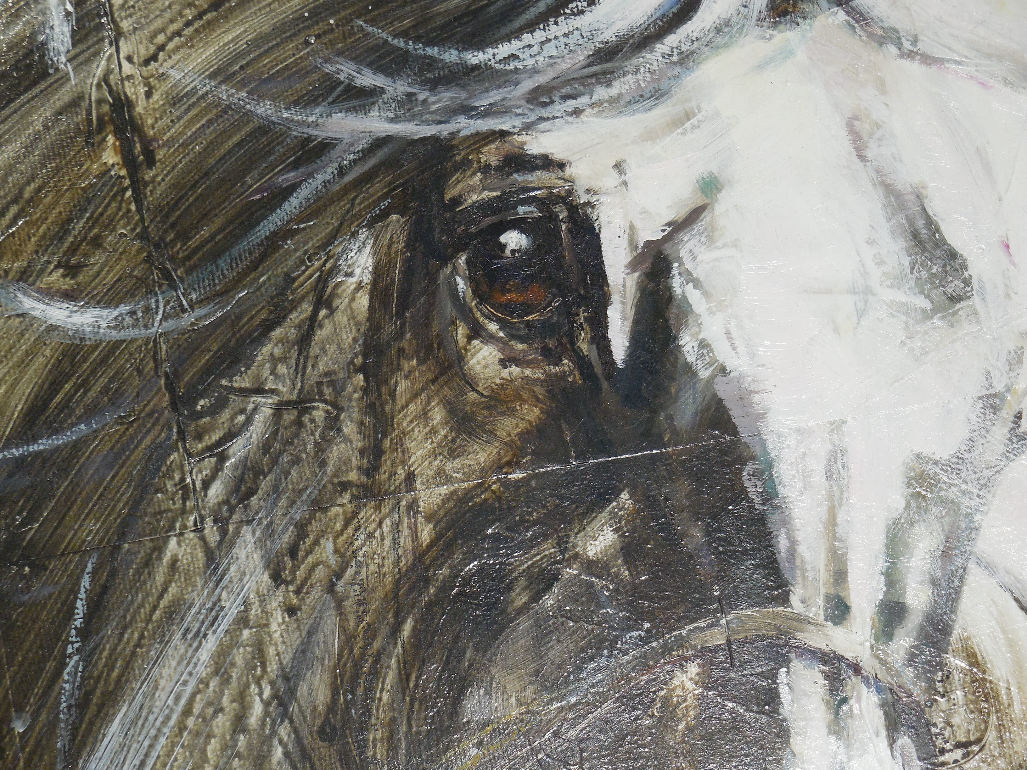 WHITE HORSE (Portrait d'un étalon)