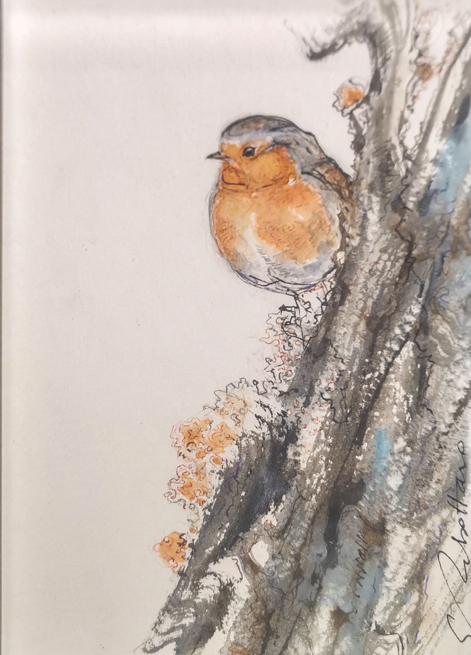 ROUGE-GORGE FAMILIER (oiseau)