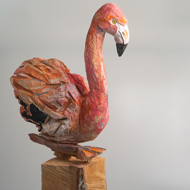 FLAMANT ROSE