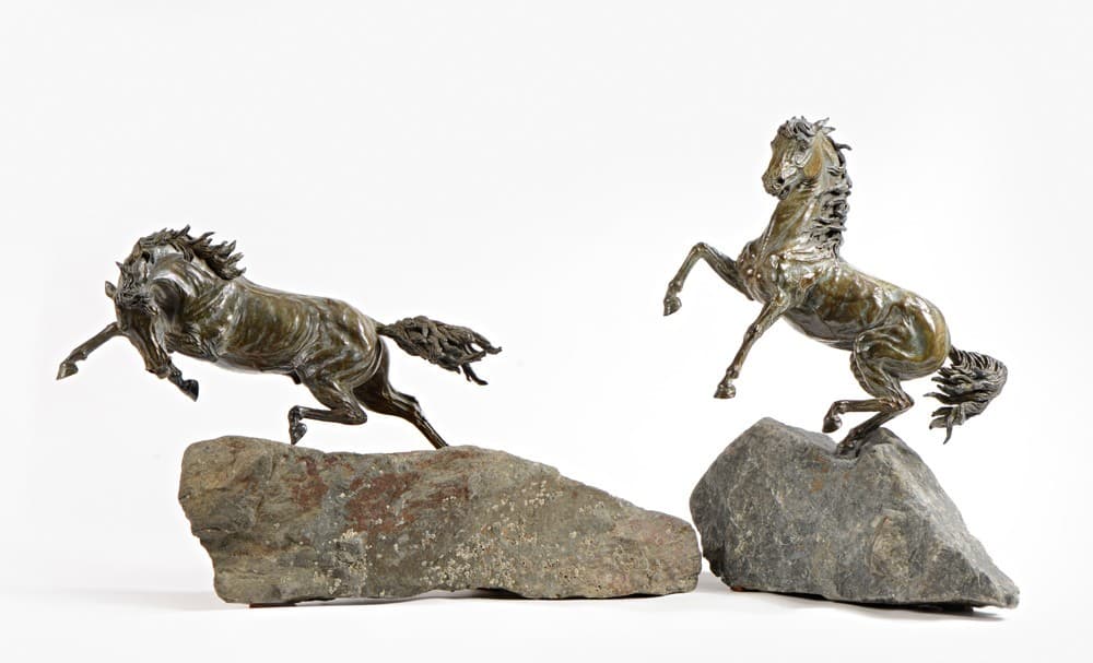 LA FAILLE (chevaux)