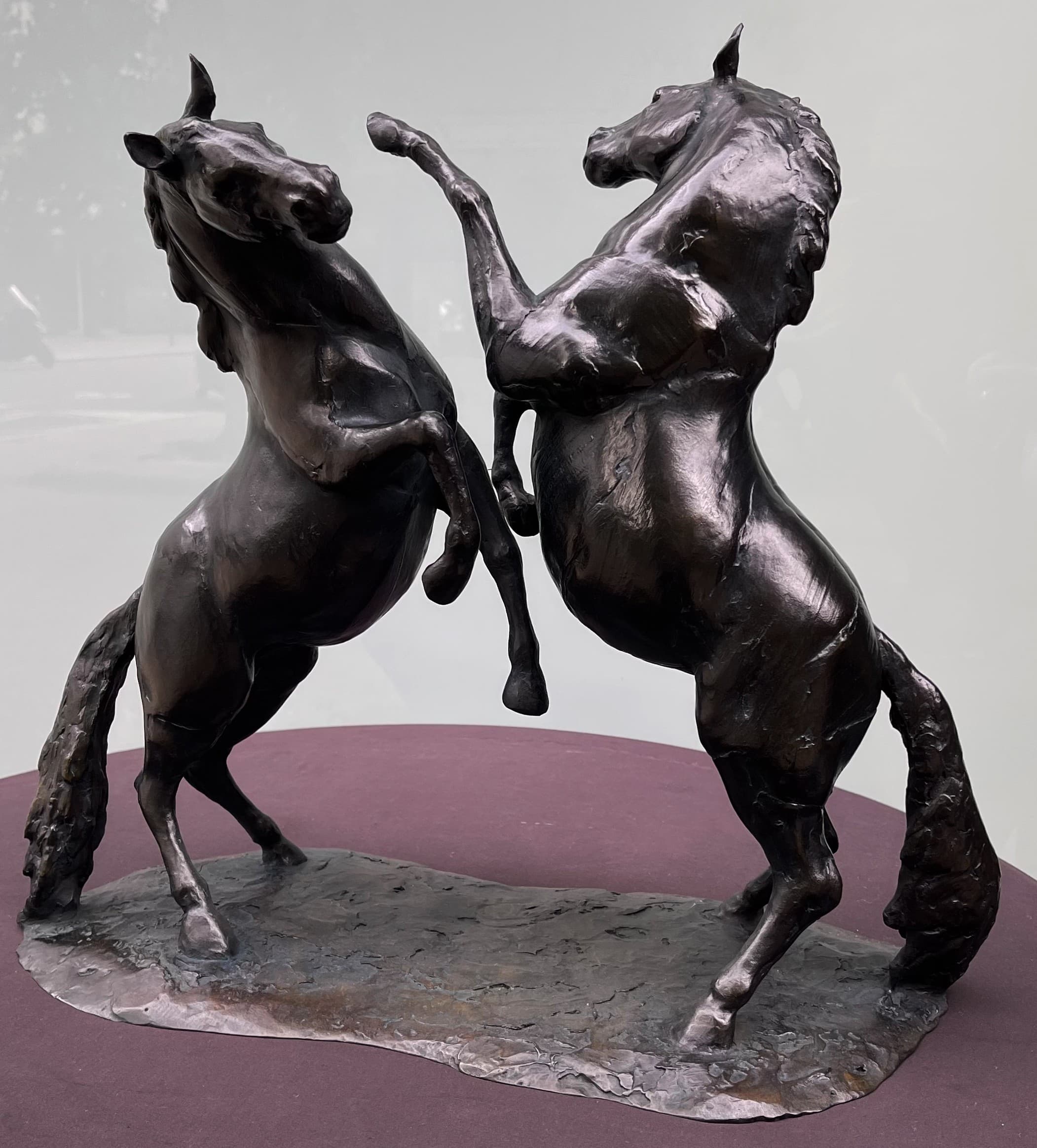 DUEL (chevaux)