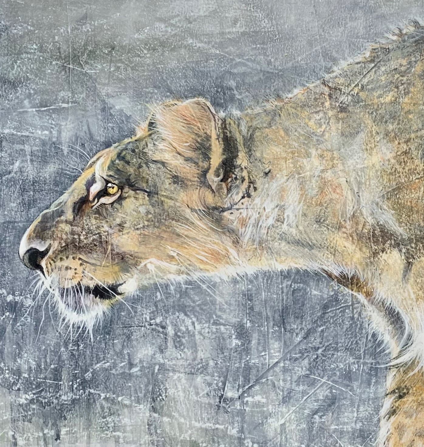 LA TRAQUE (jeune lionne furtive)