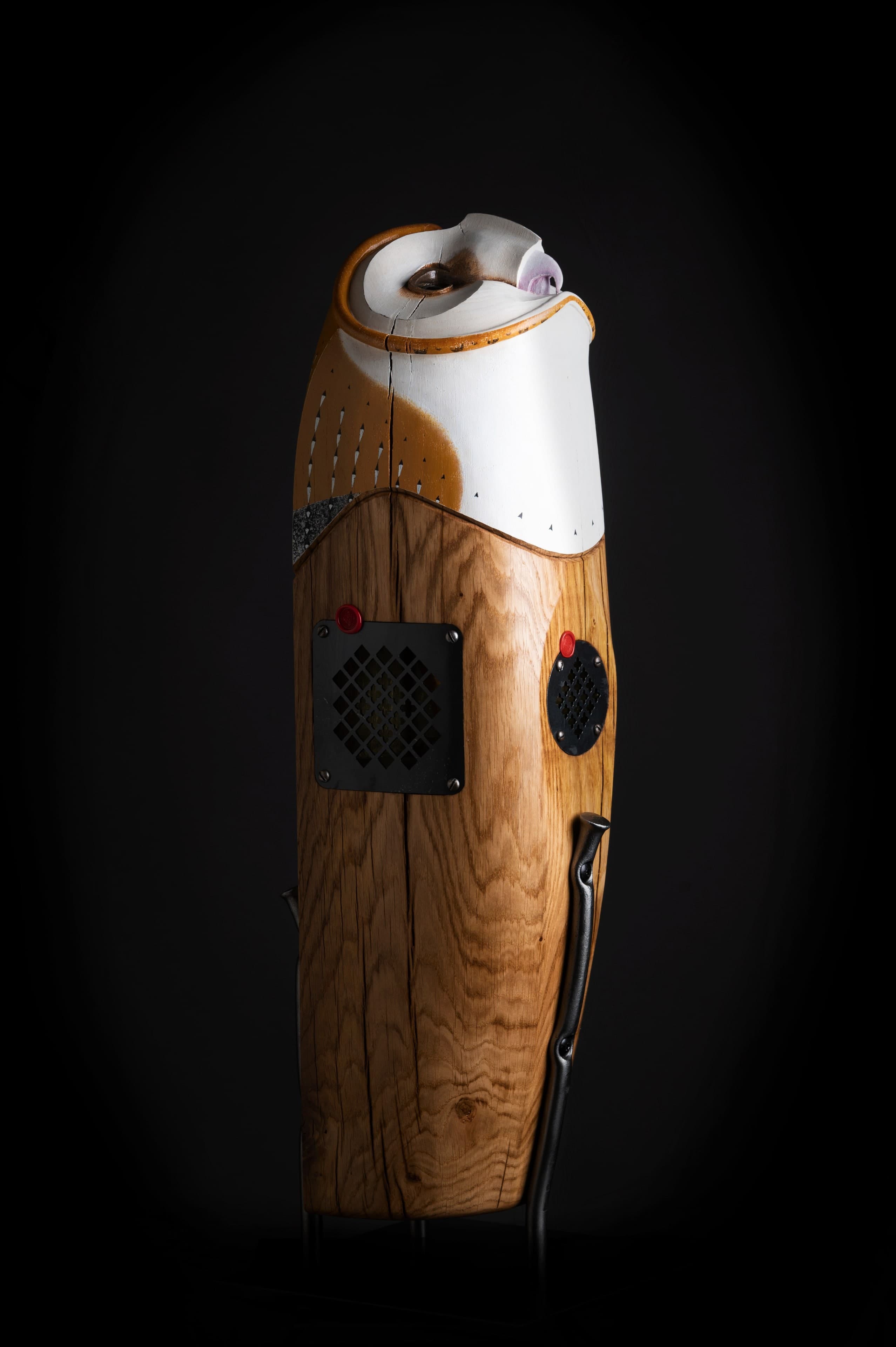 ULE (Chouette effraie des clochers ) — Matt Woods