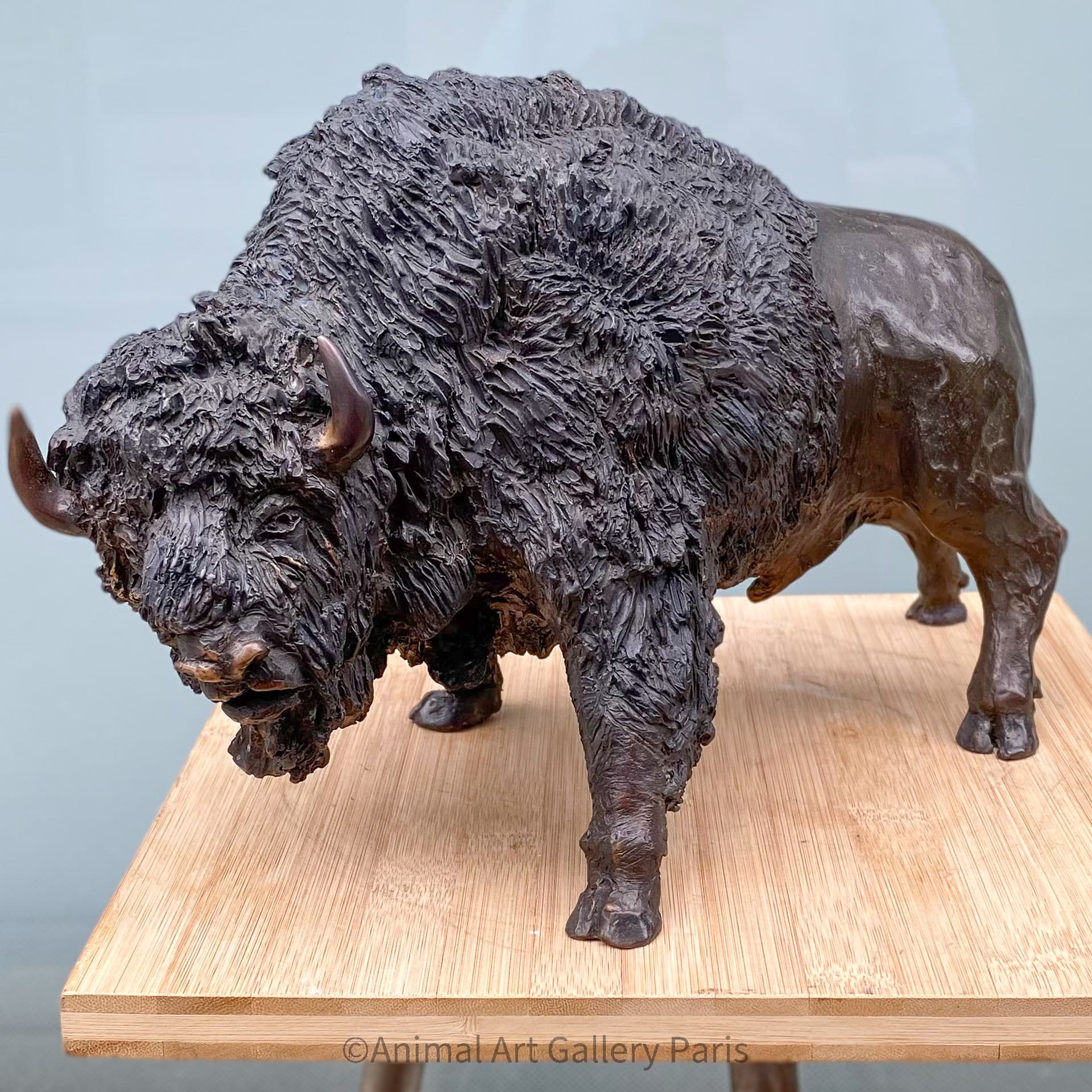 TATANKA (bison)