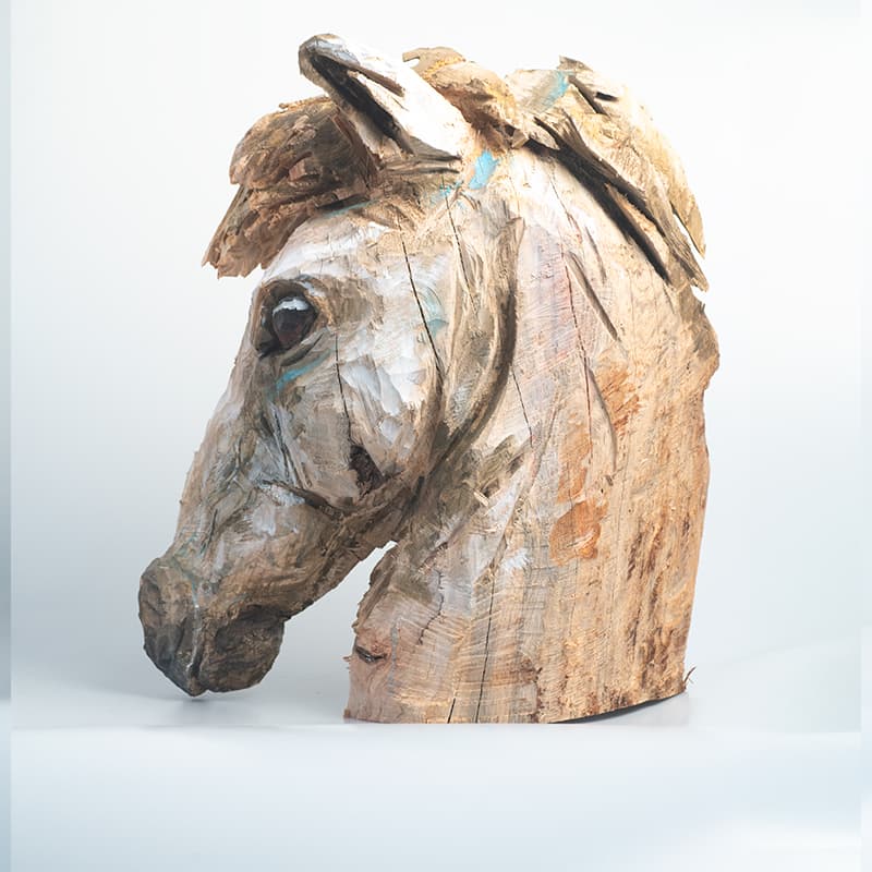 Tête De Cheval Par Guillaume Belin 2