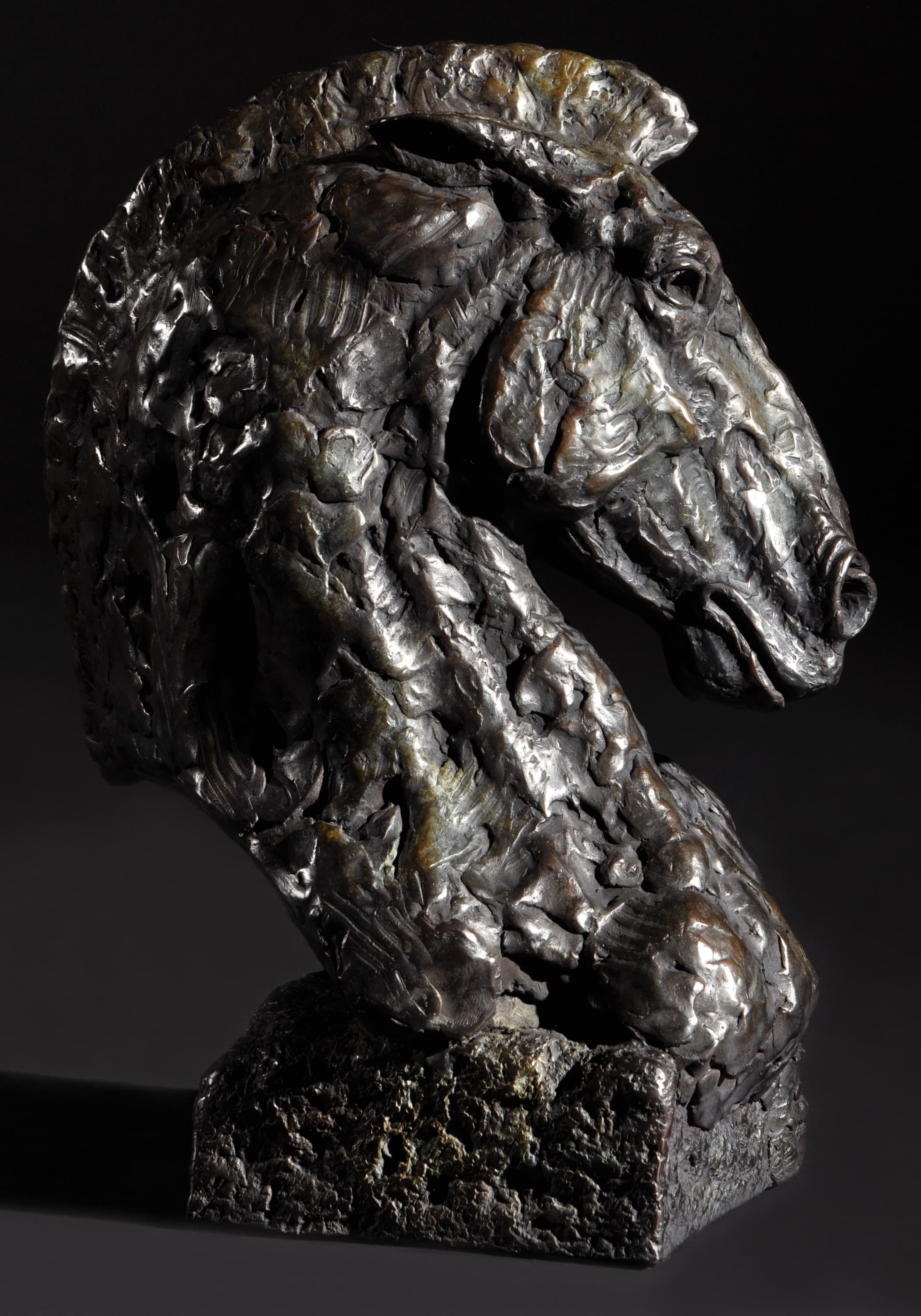 THE KNIGHT - Le Cavalier (cheval) — Mick Doellinger