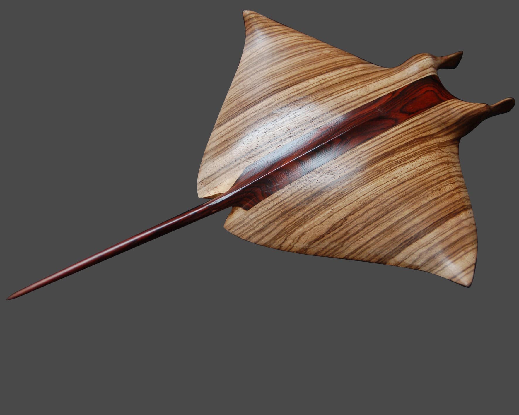 RAIE MANTA