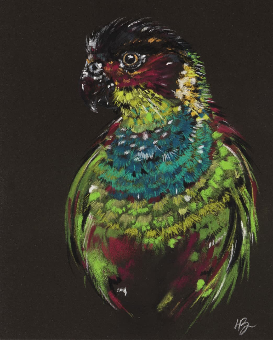 PERROQUET
