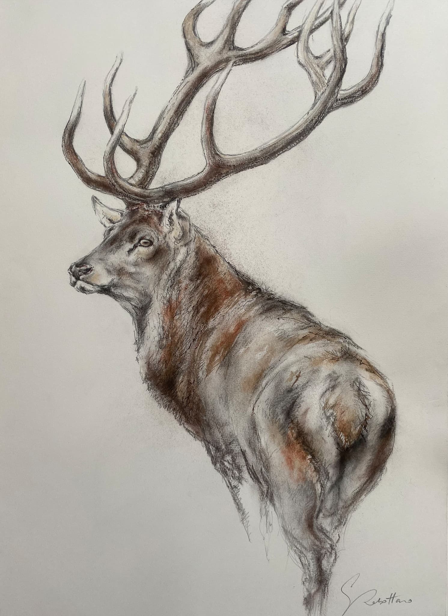 CERF